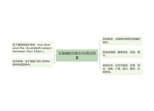 五裂槭的功能主治|用法用量