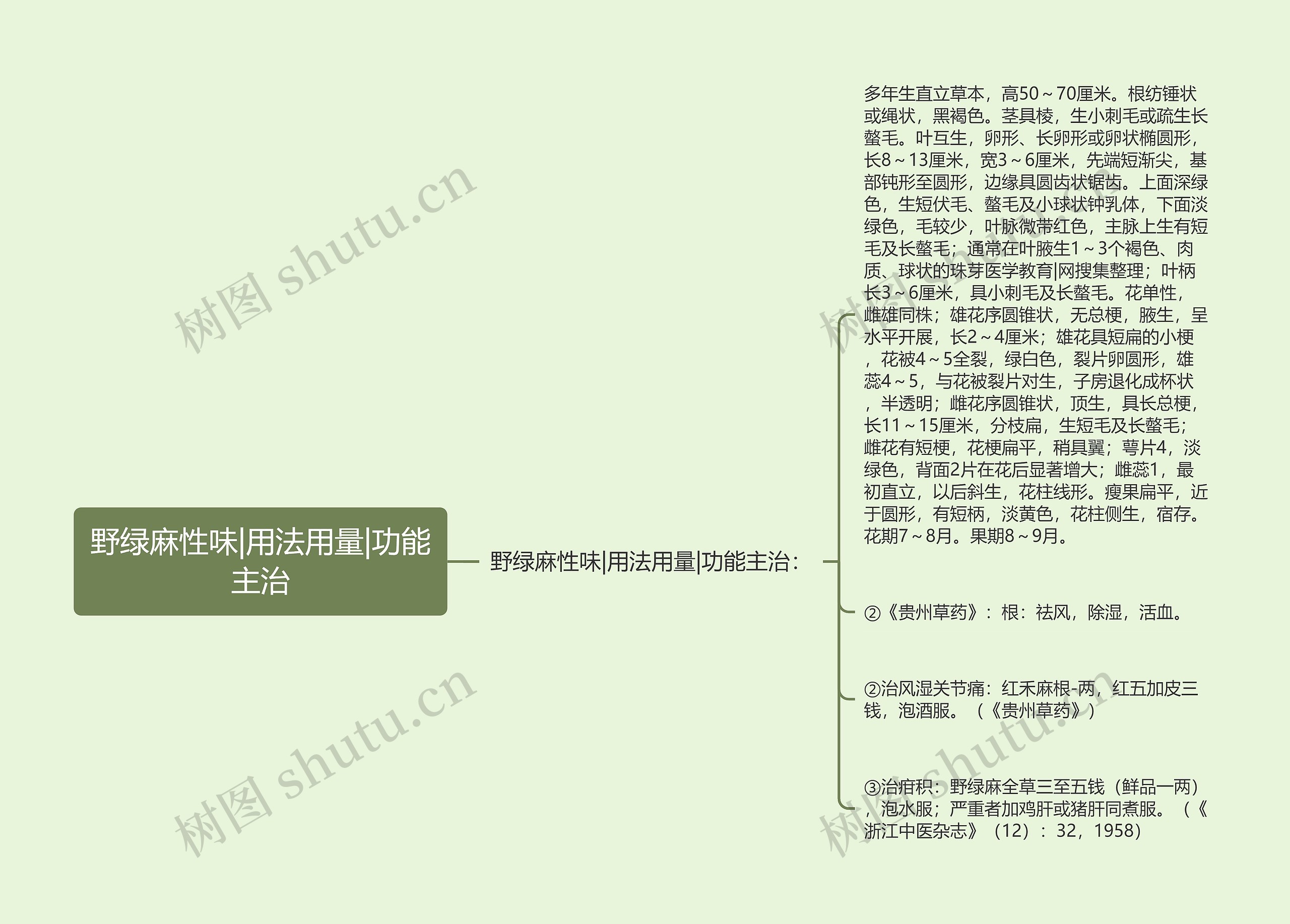 野绿麻性味|用法用量|功能主治 野绿麻性味|用法用量|功能主治