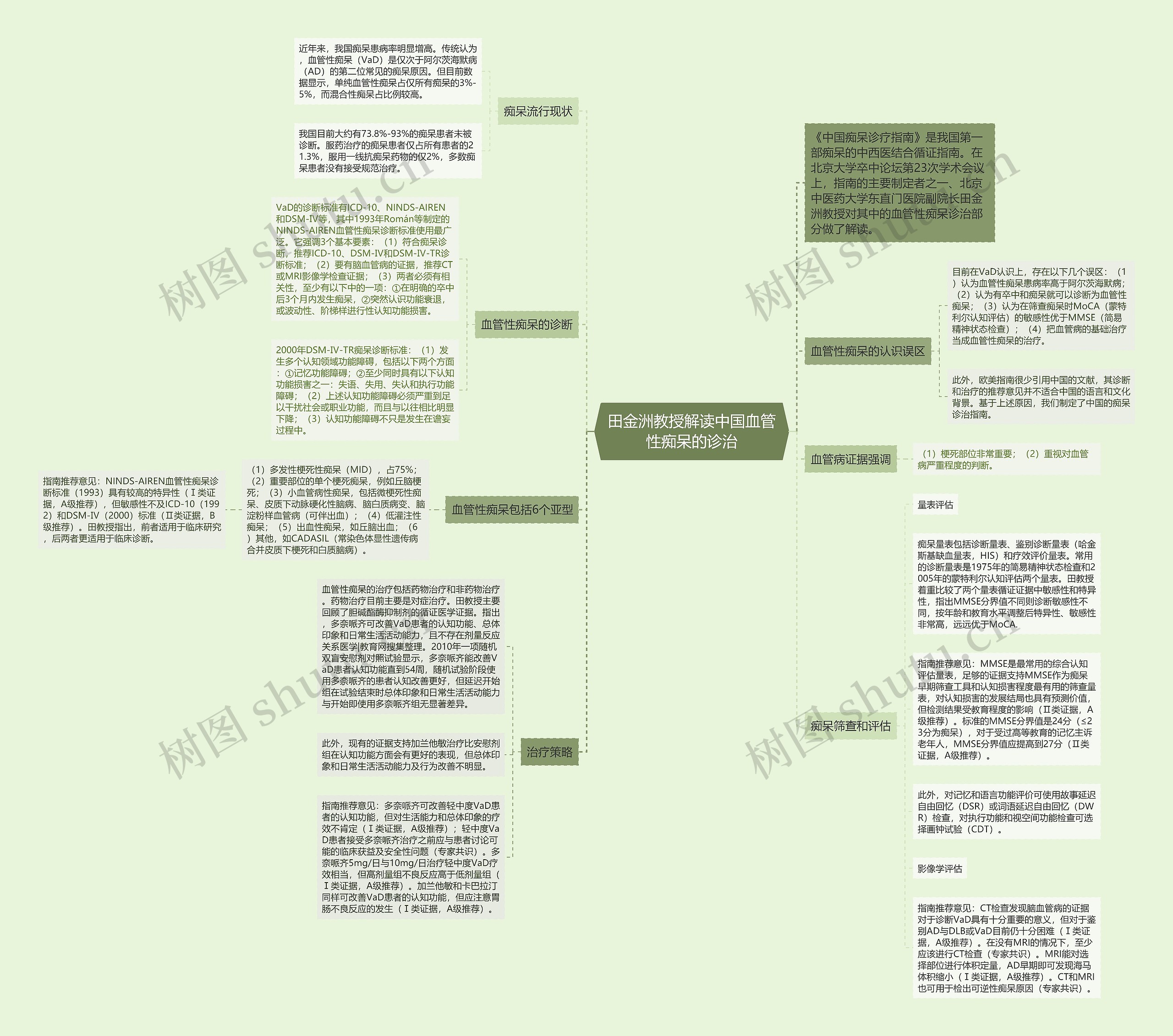 田金洲教授解读中国血管性痴呆的诊治思维导图