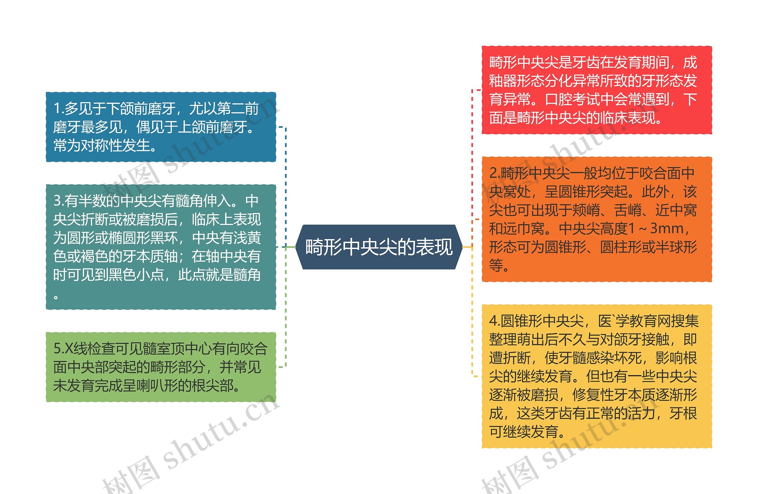 畸形中央尖的表现思维导图