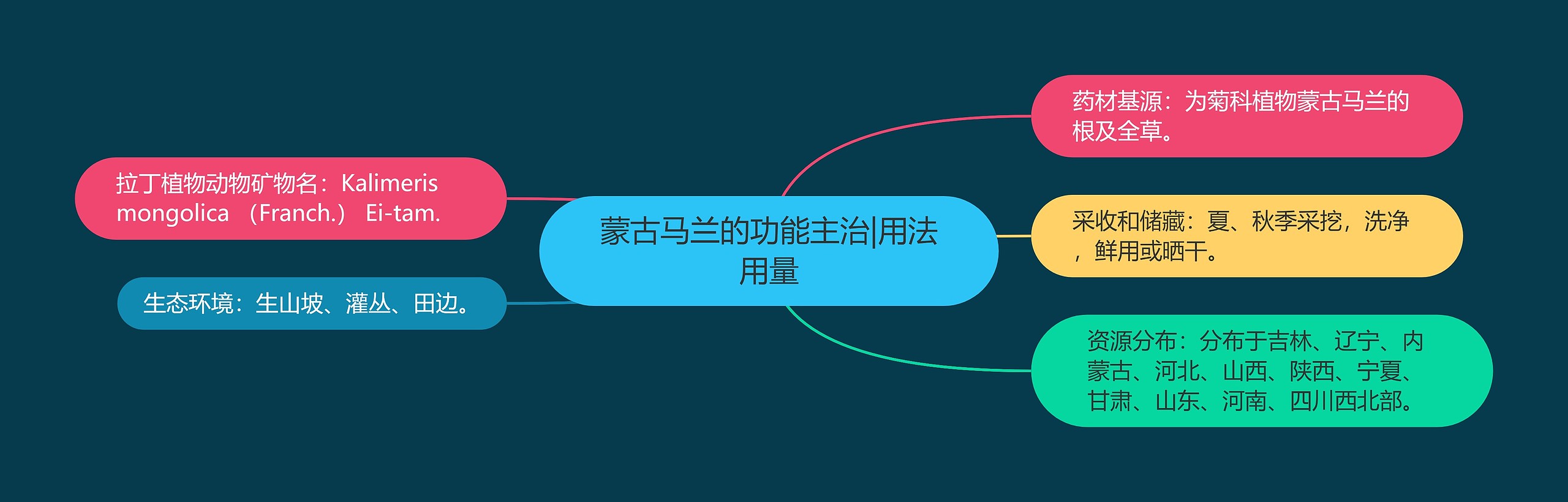 蒙古马兰的功能主治|用法用量 蒙古马兰的功能主治|用法用量