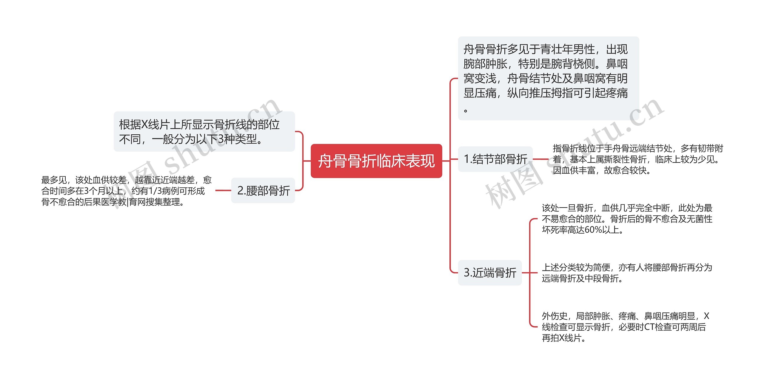 舟骨骨折临床表现思维导图