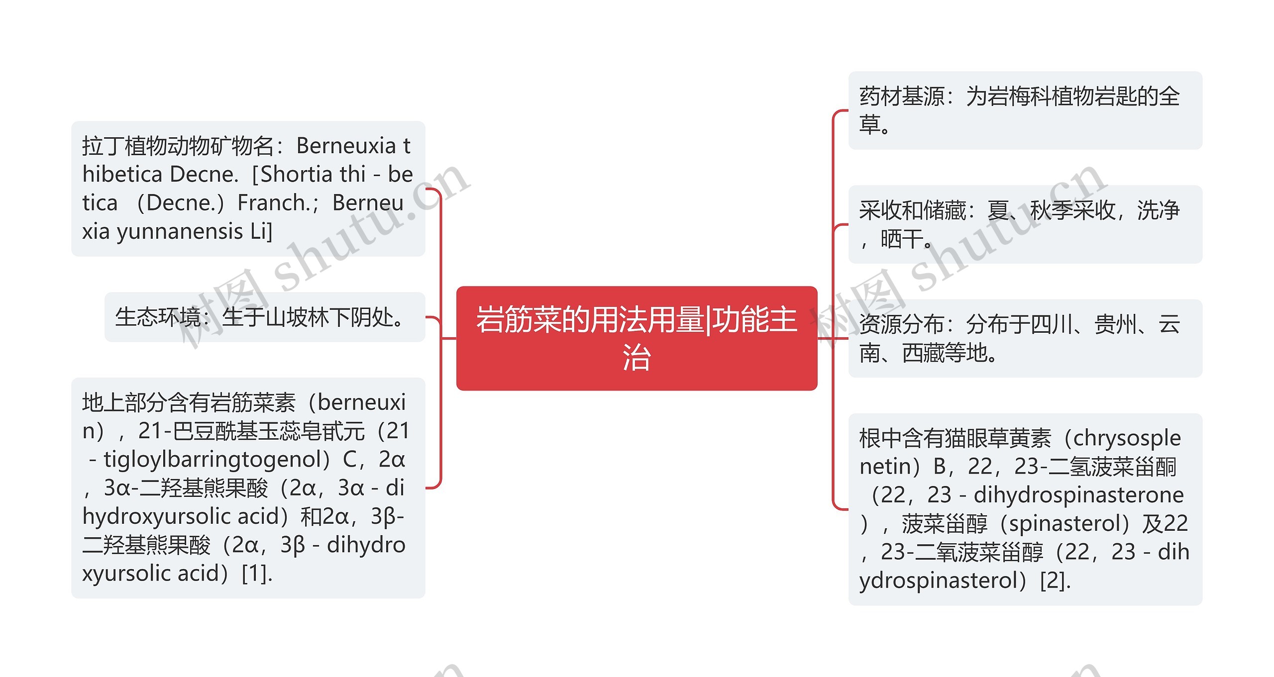 岩筋菜的用法用量|功能主治思维导图