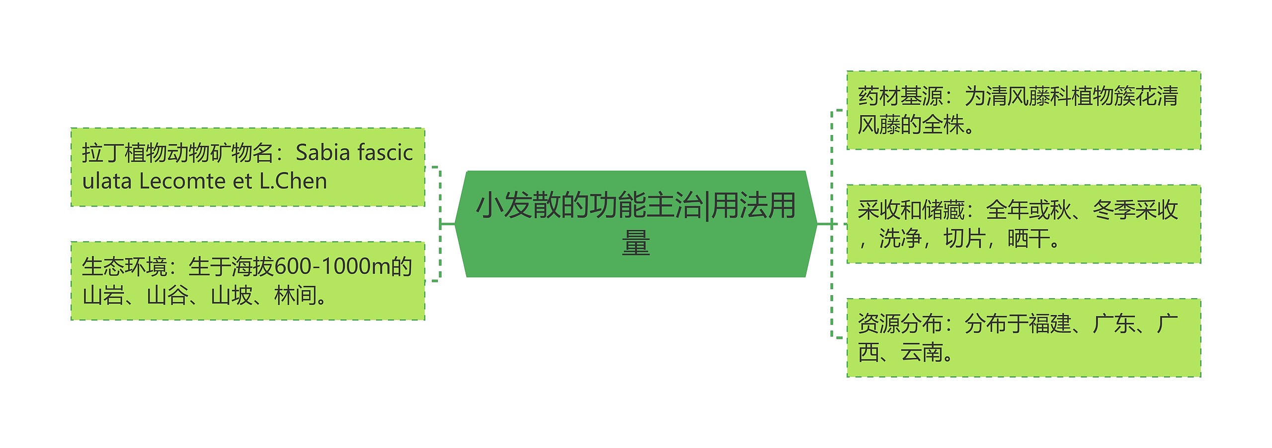 小发散的功能主治|用法用量