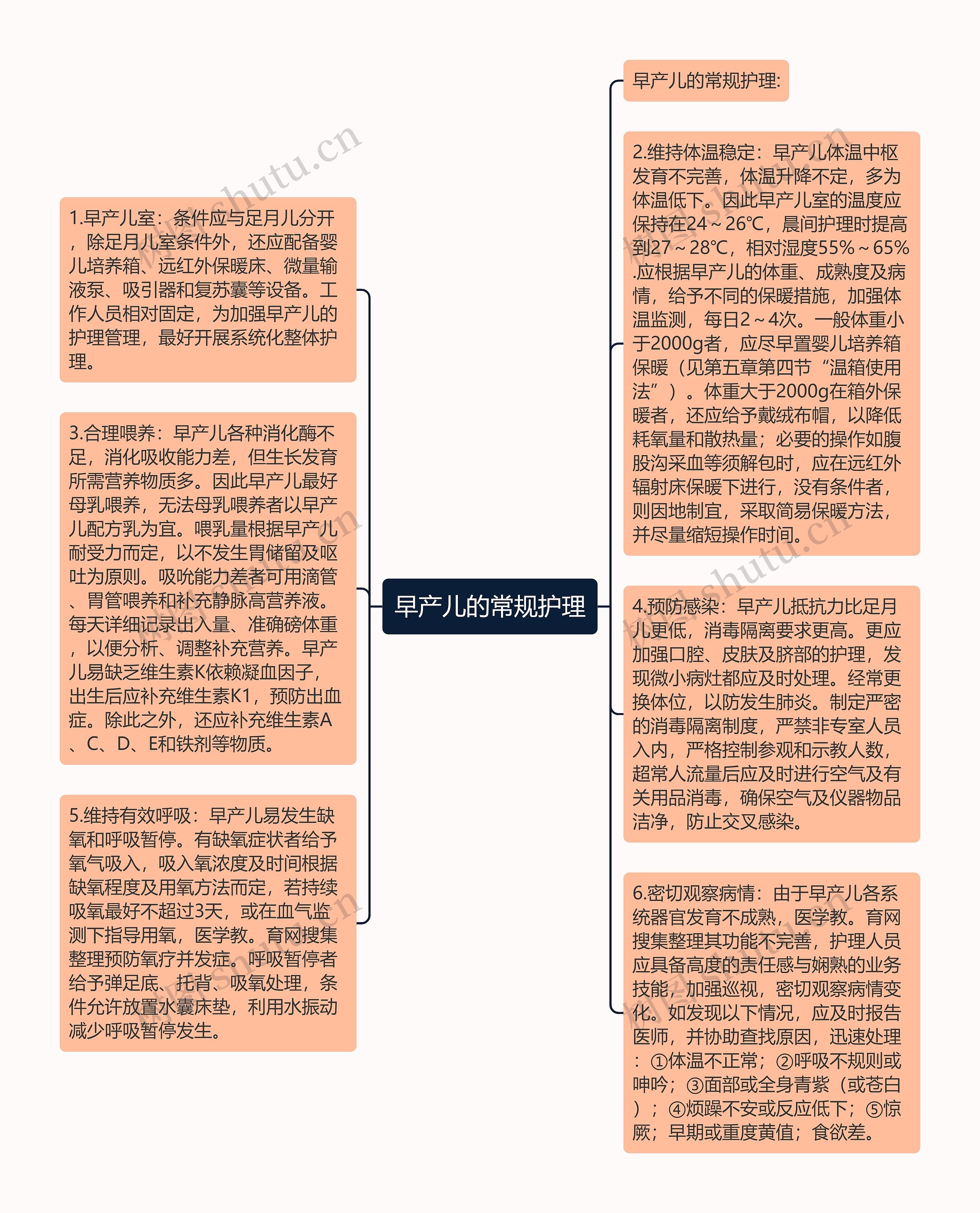 早产儿的常规护理思维导图