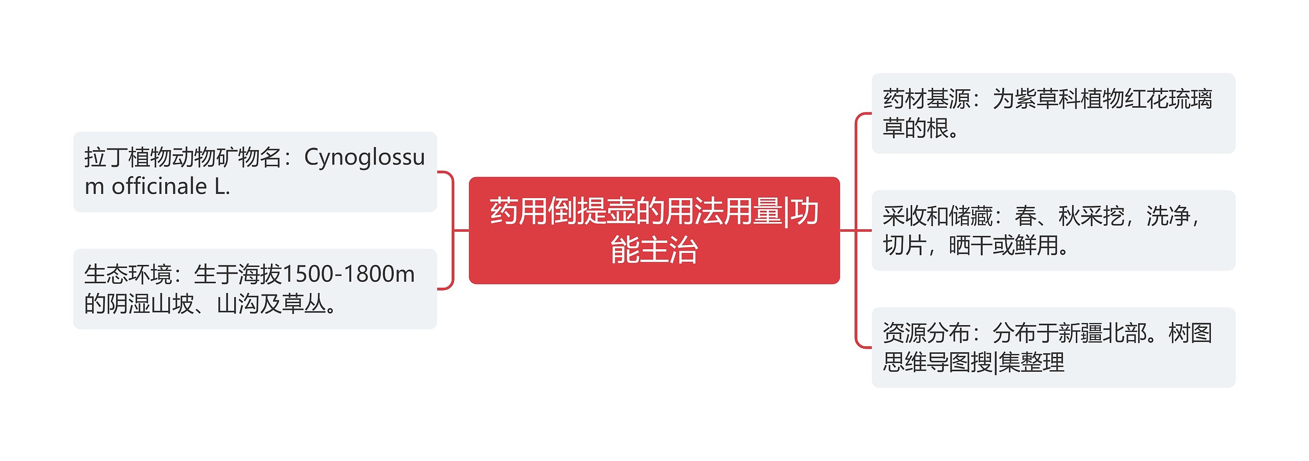 药用倒提壶的用法用量|功能主治 药用倒提壶的用法用量|功能主治