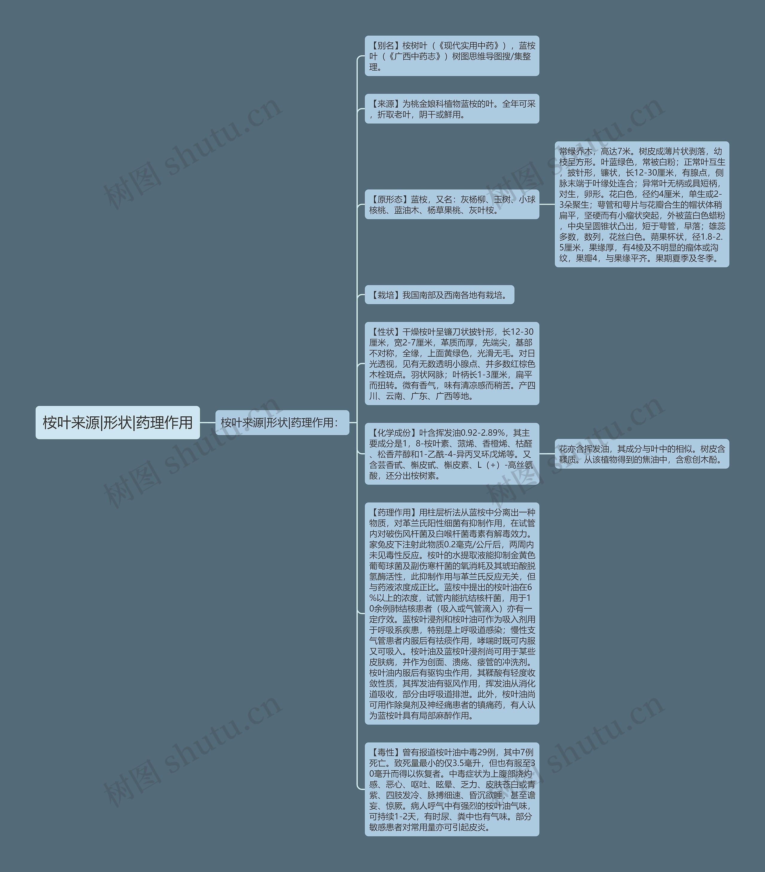 桉叶来源|形状|药理作用思维导图