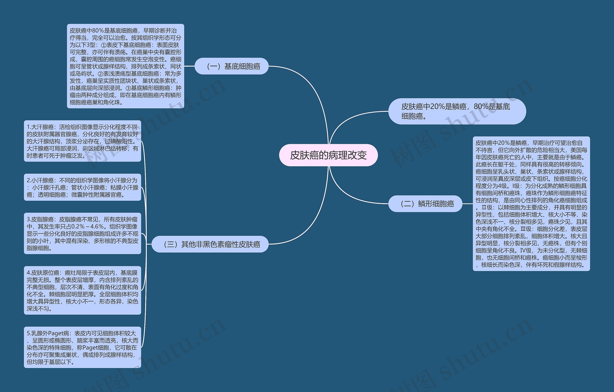 皮肤癌的病理改变思维导图