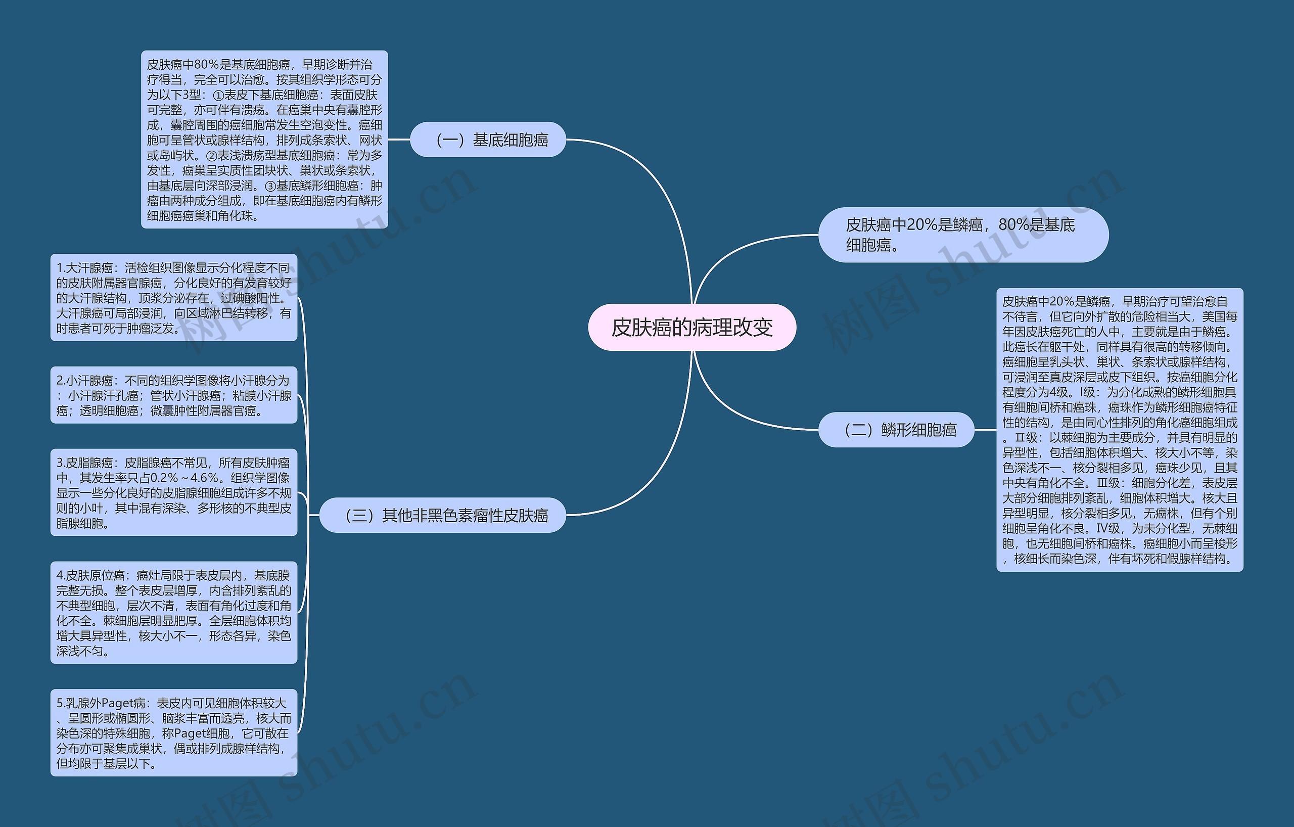 皮肤癌的病理改变 皮肤癌的病理改变