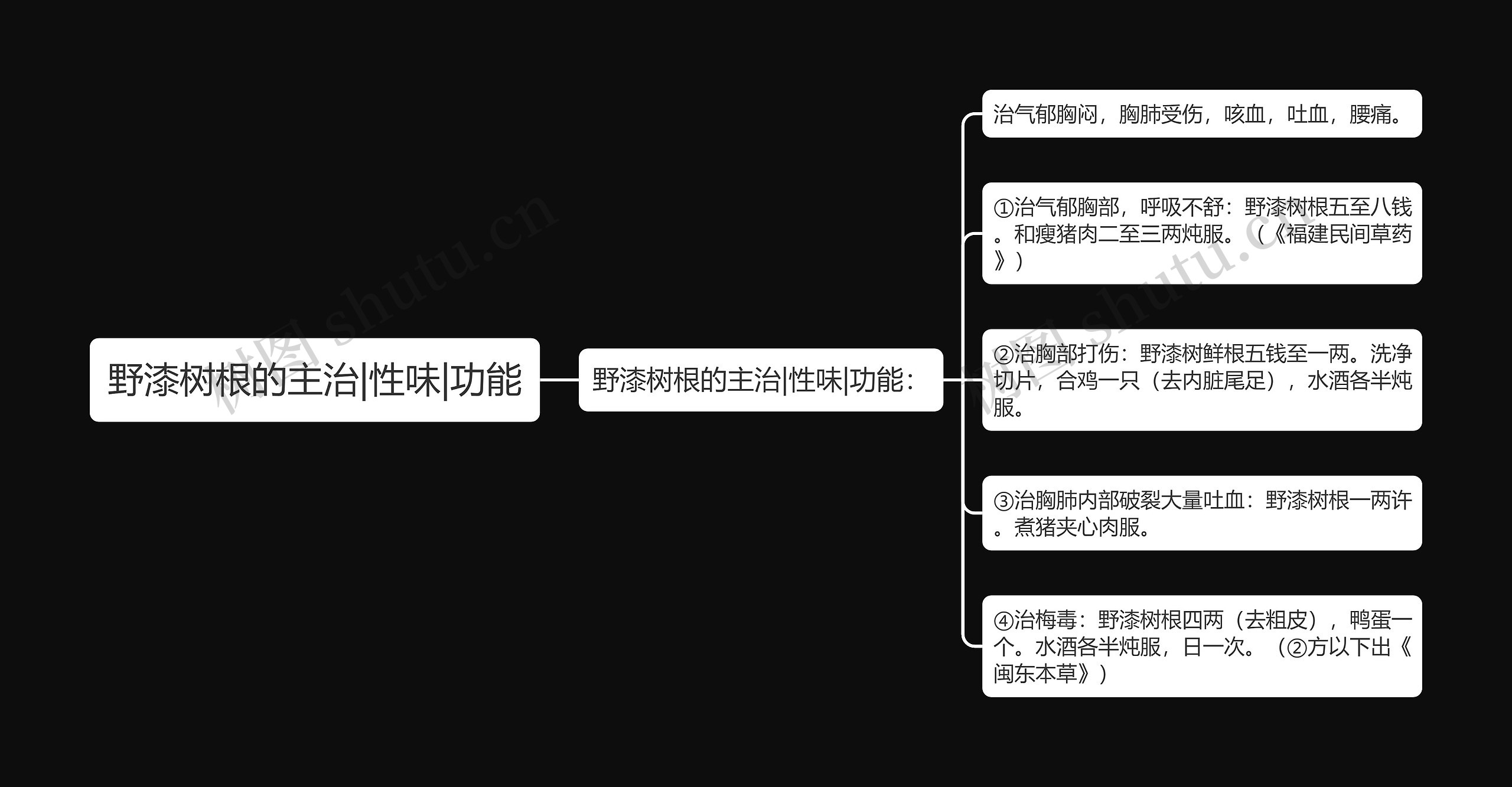 野漆树根的主治|性味|功能