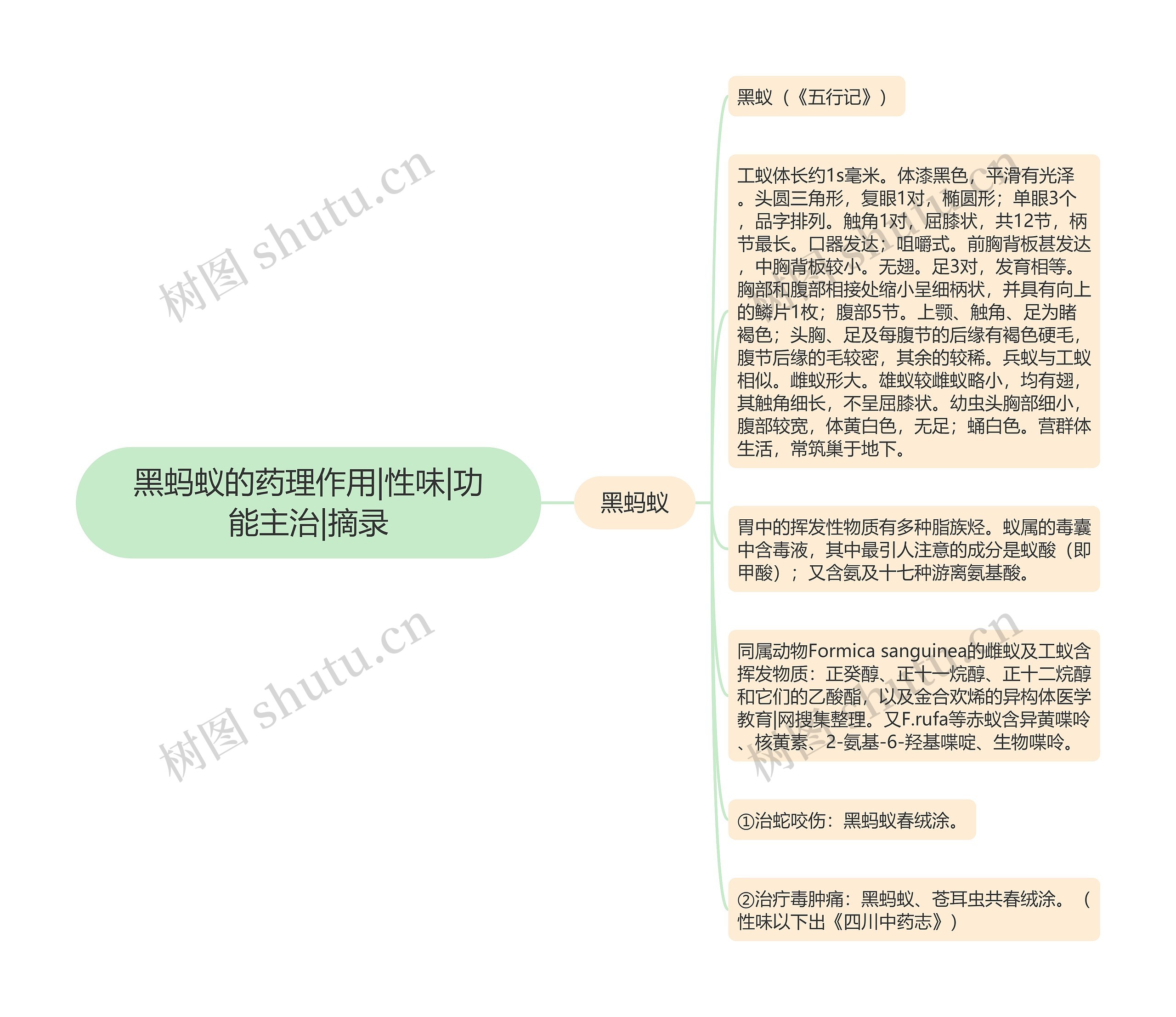 黑蚂蚁的药理作用|性味|功能主治|摘录思维导图