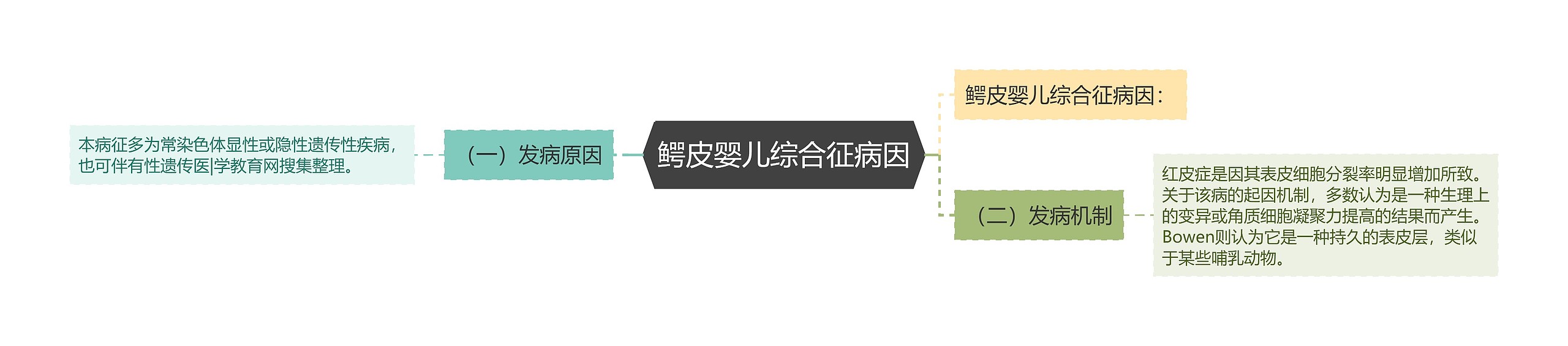 鳄皮婴儿综合征病因 鳄皮婴儿综合征病因