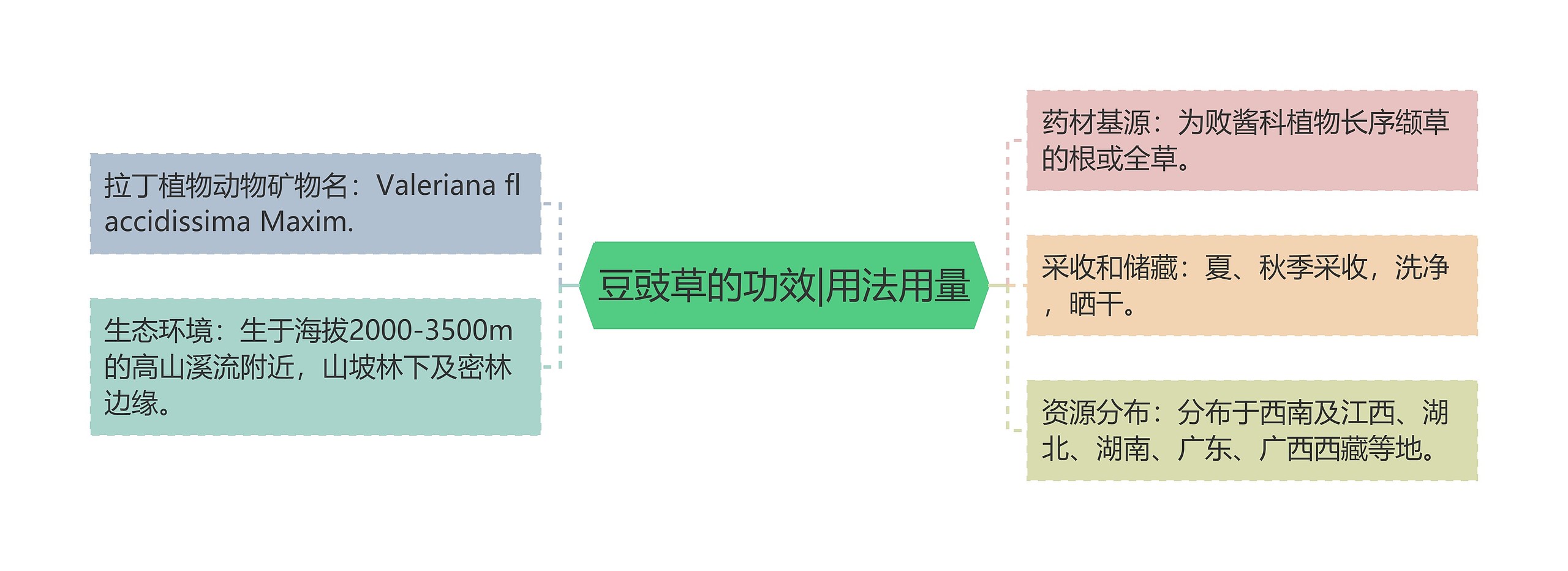 豆豉草的功效|用法用量思维导图