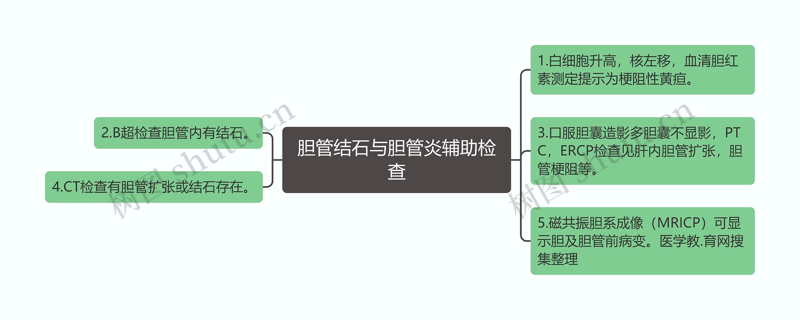 胆管结石与胆管炎辅助检查