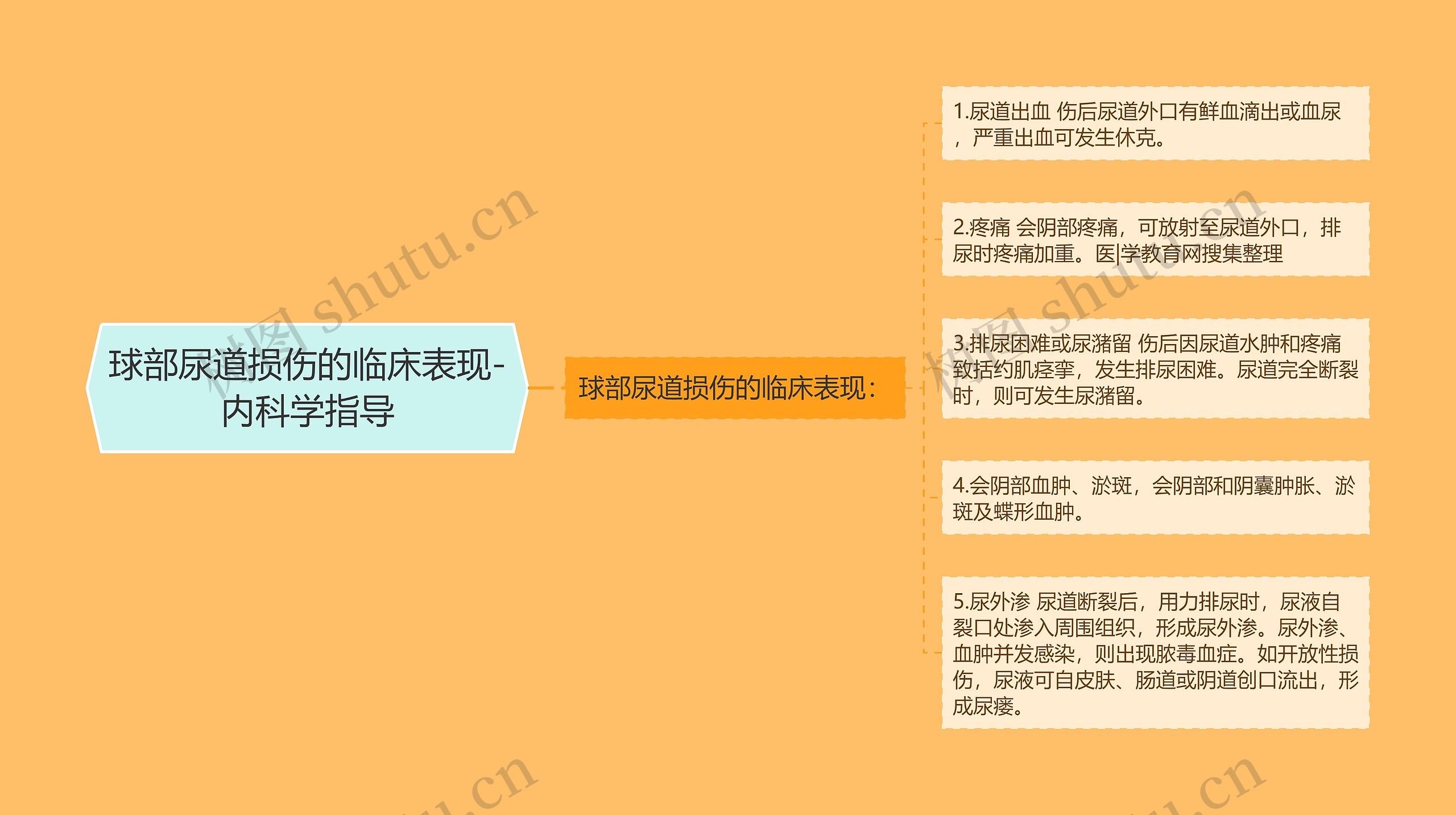 球部尿道损伤的临床表现-内科学指导 球部尿道损伤的临床表现-内科学指导