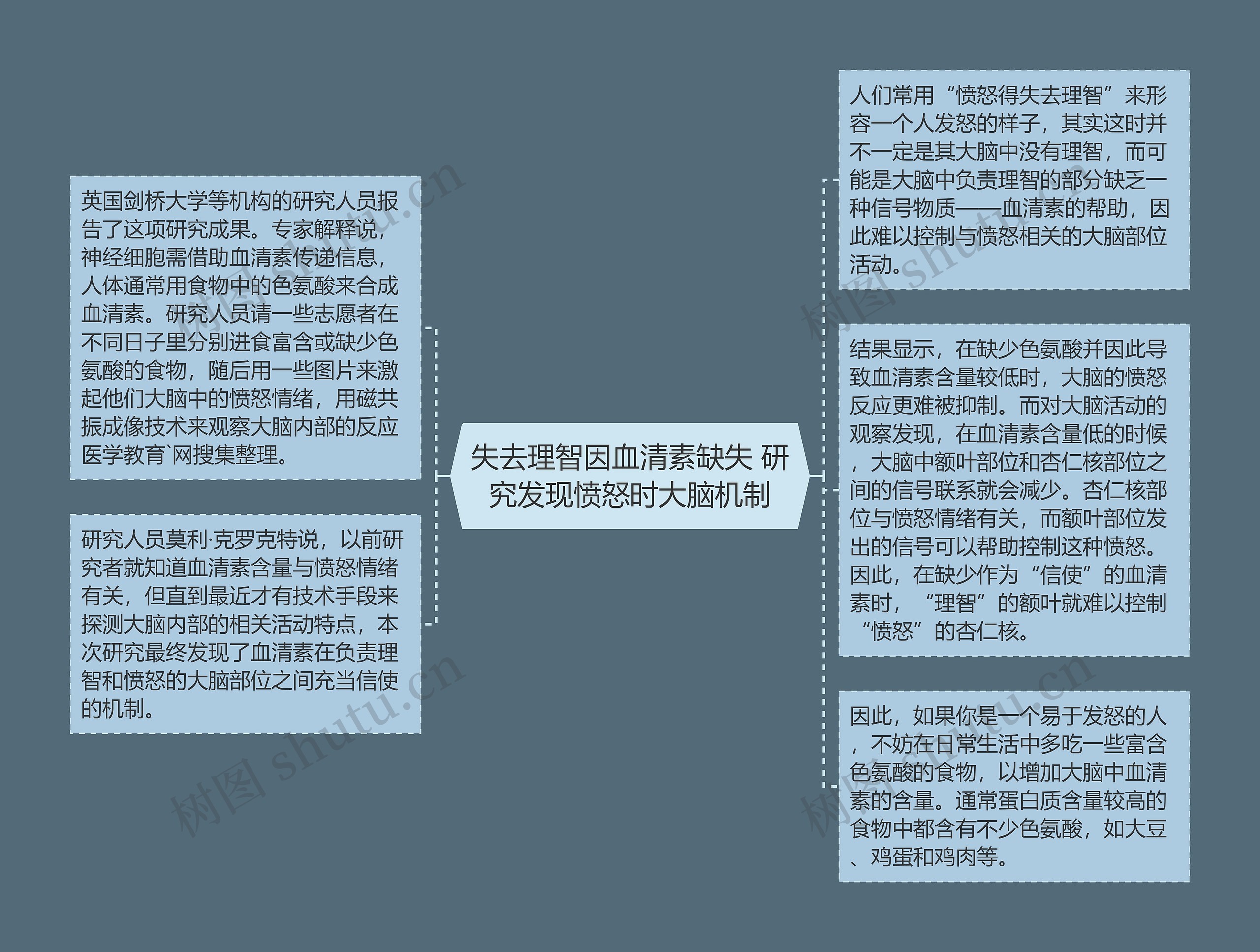 失去理智因血清素缺失 研究发现愤怒时大脑机制思维导图