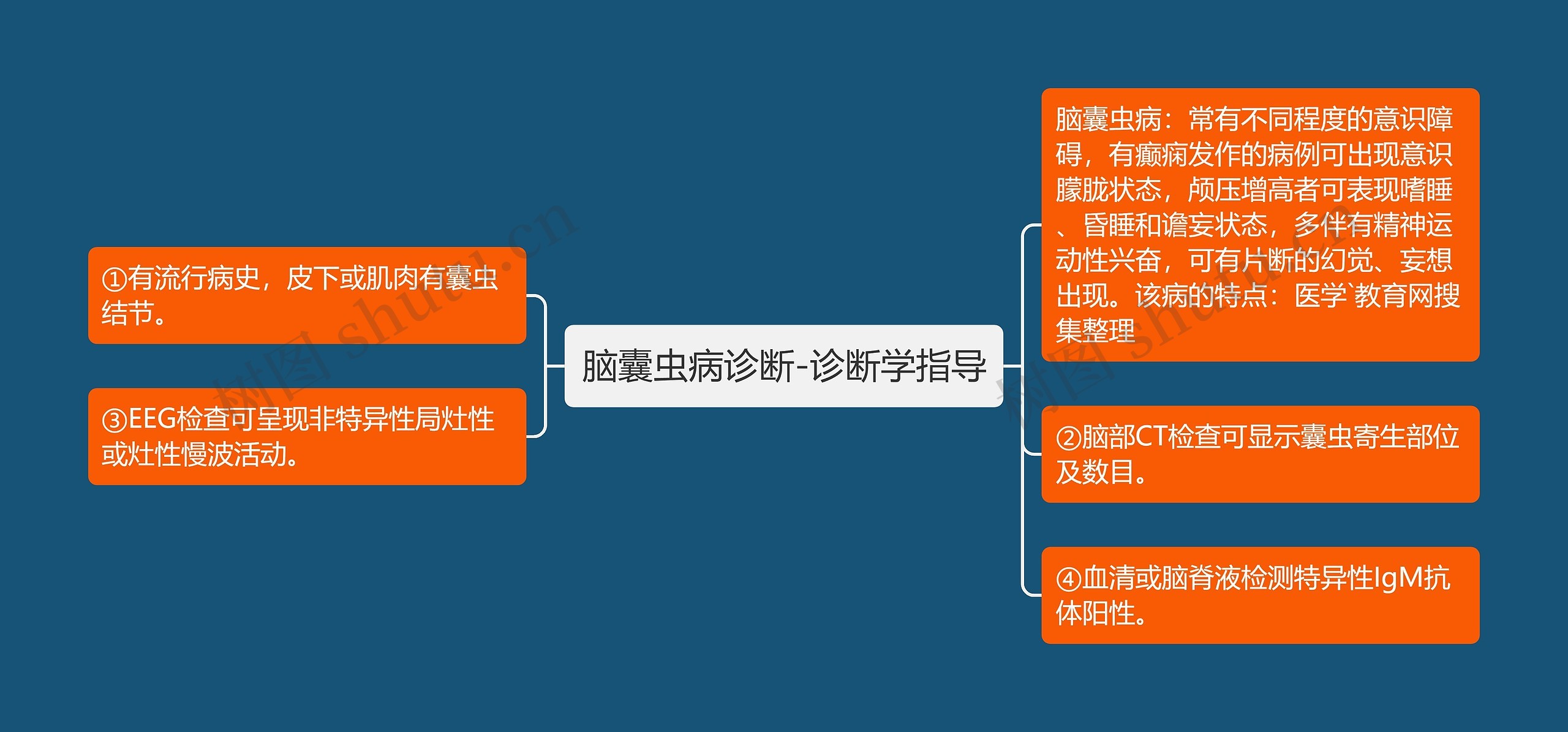 脑囊虫病诊断-诊断学指导思维导图