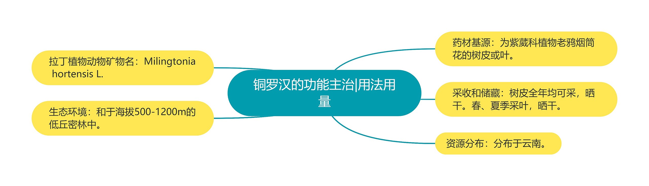 铜罗汉的功能主治|用法用量 铜罗汉的功能主治|用法用量