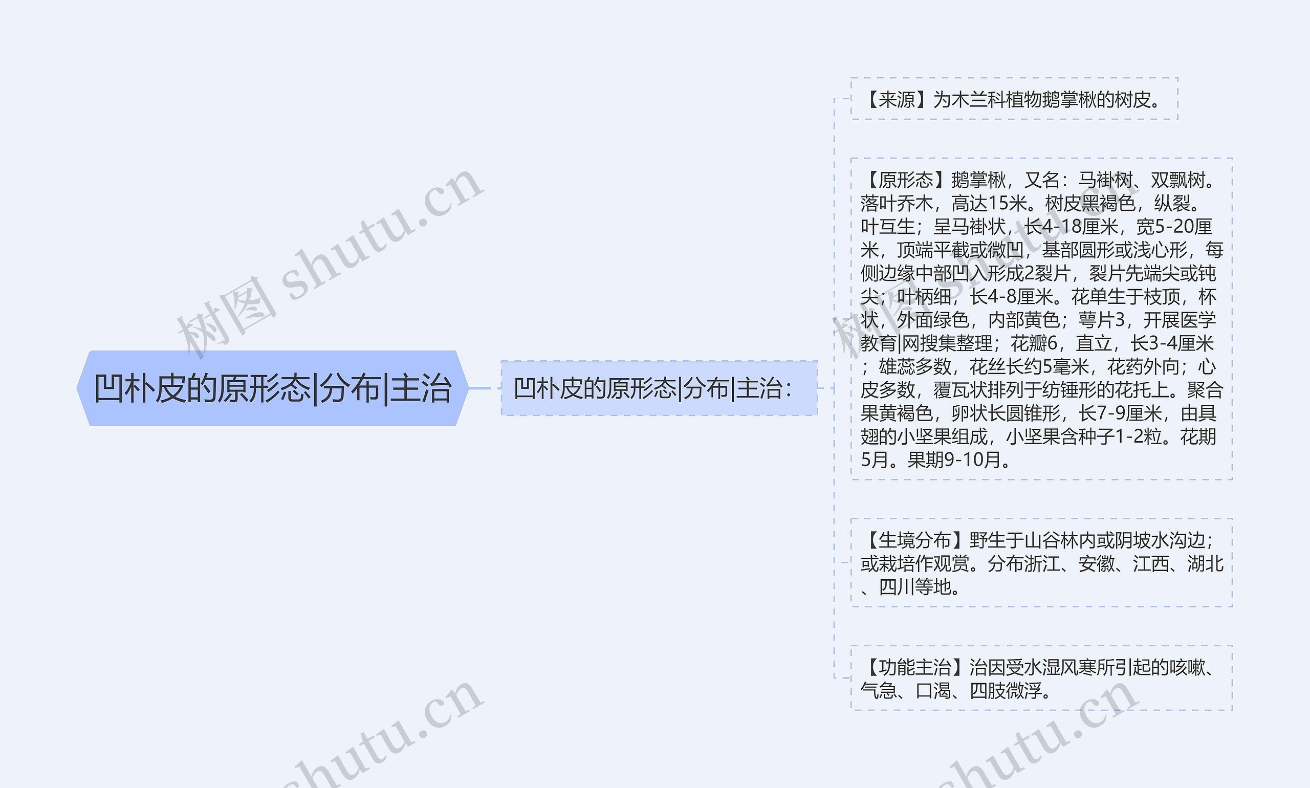 凹朴皮的原形态|分布|主治思维导图