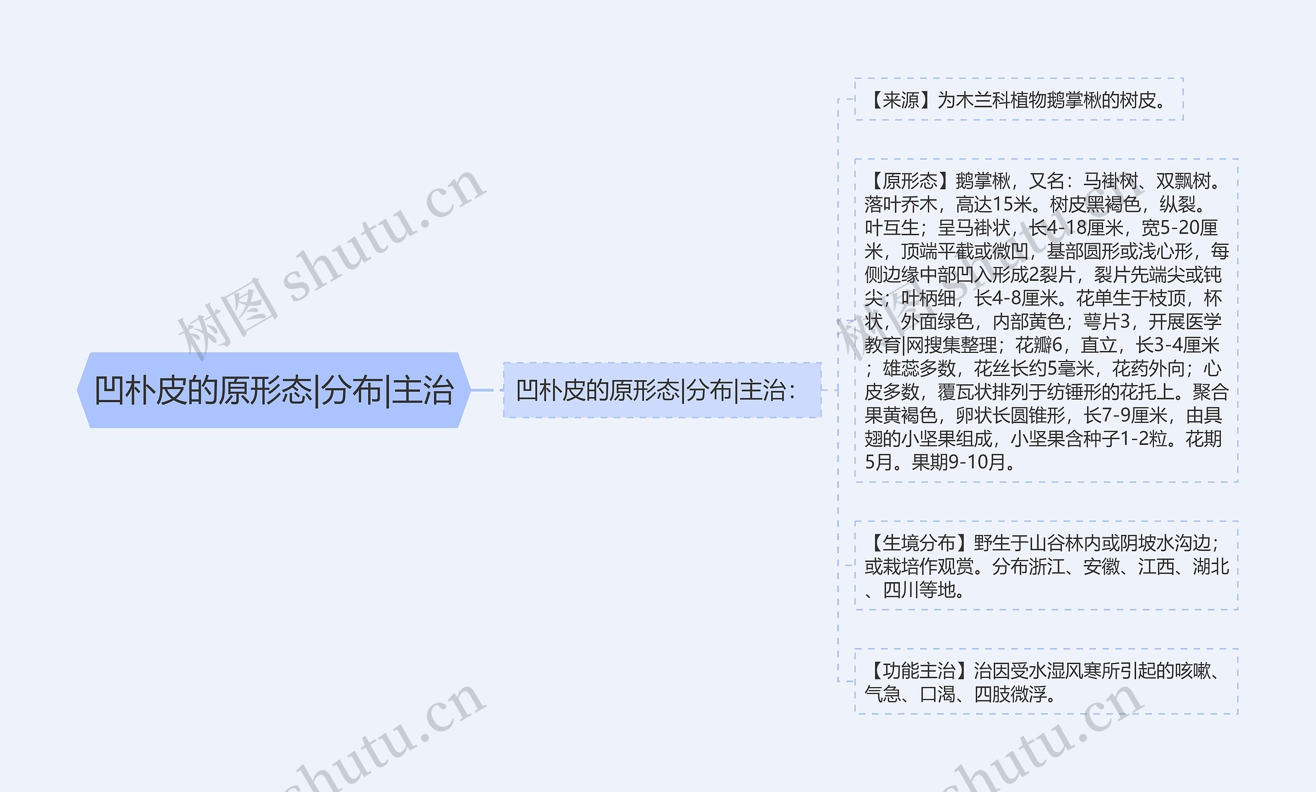 凹朴皮的原形态|分布|主治 凹朴皮的原形态|分布|主治