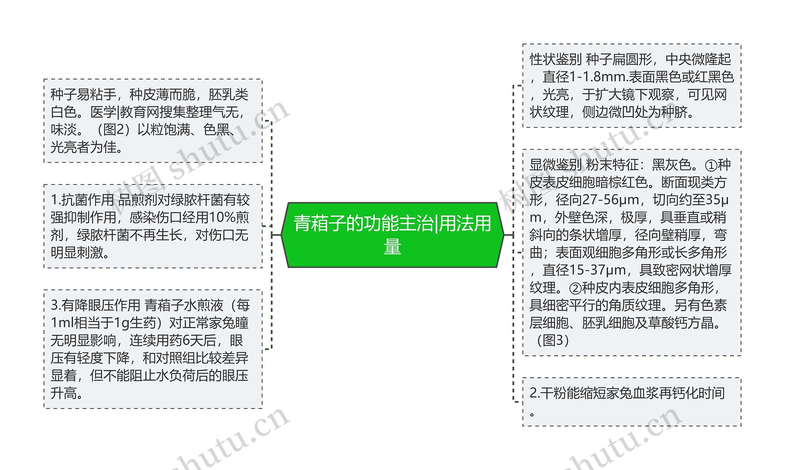 青葙子的功能主治|用法用量 青葙子的功能主治|用法用量