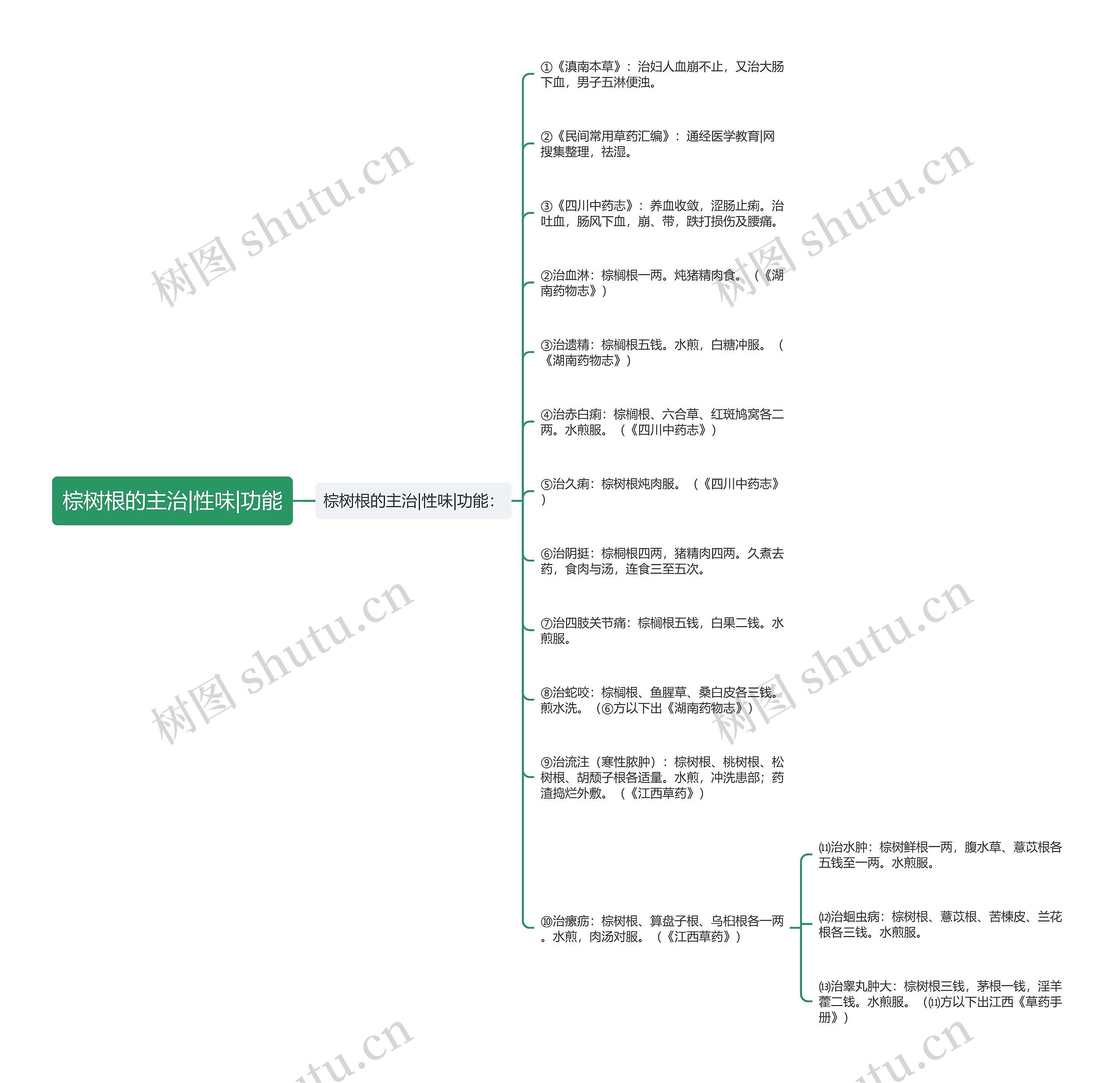 棕树根的主治|性味|功能 棕树根的主治|性味|功能