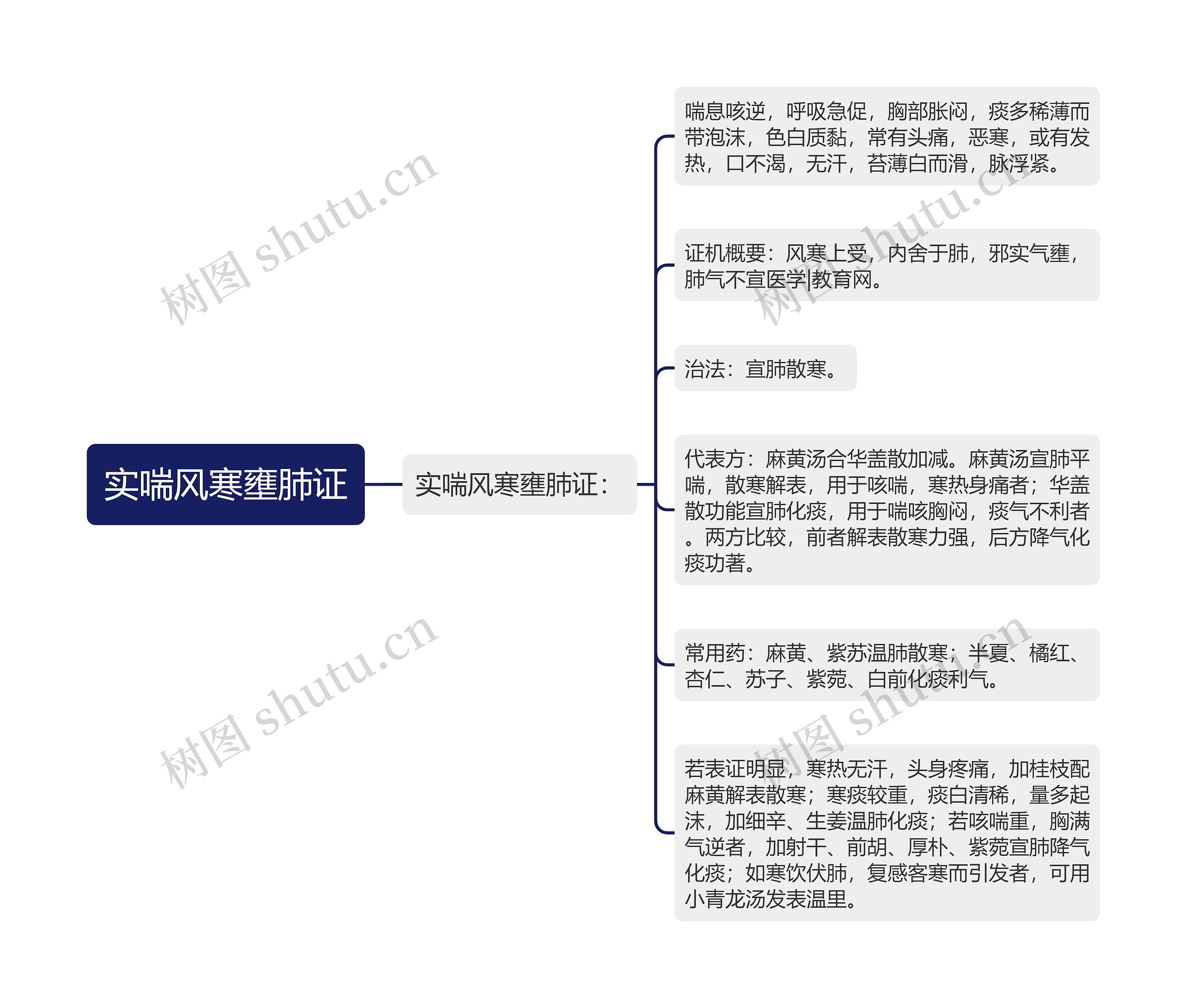 实喘风寒壅肺证思维导图