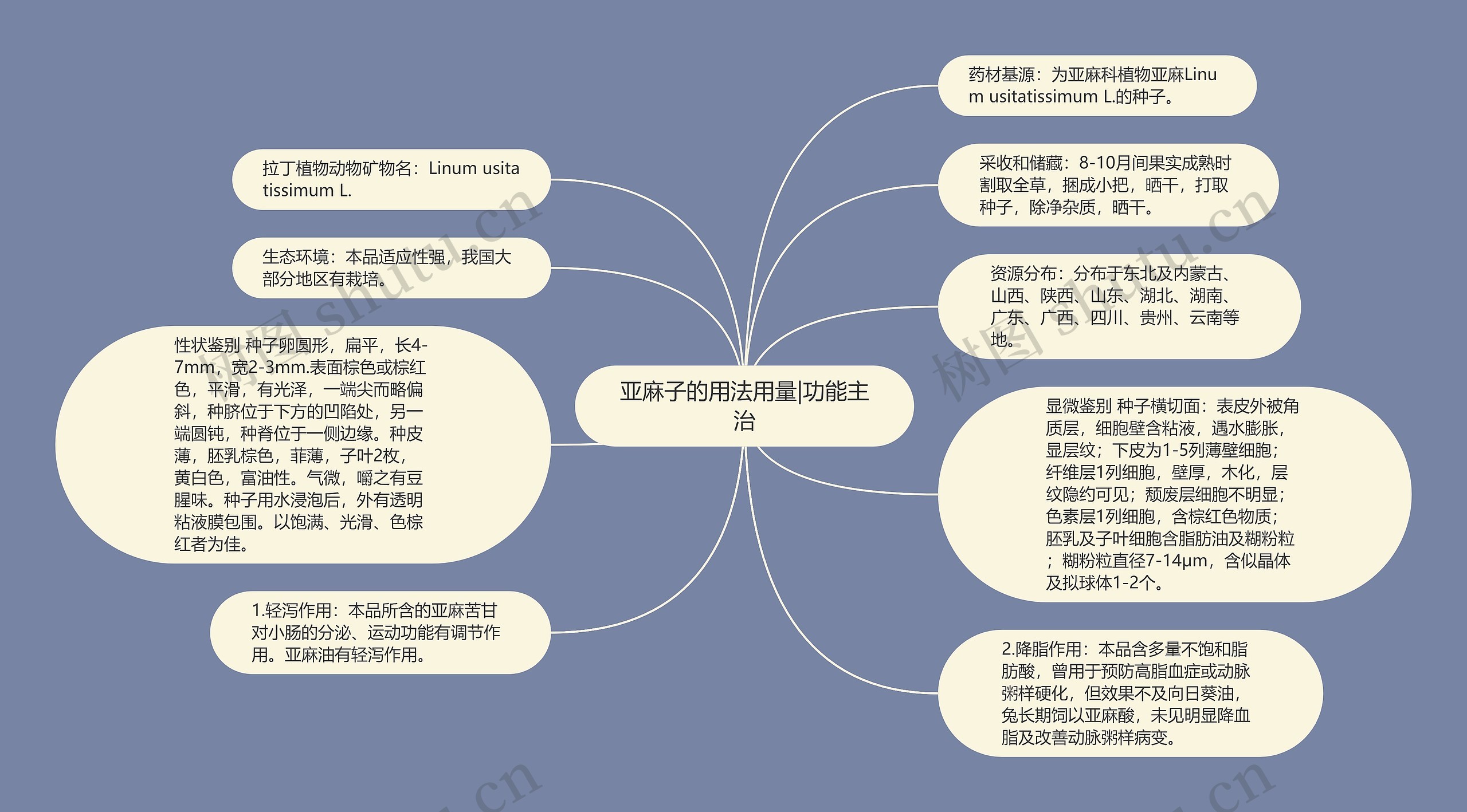 亚麻子的用法用量|功能主治思维导图