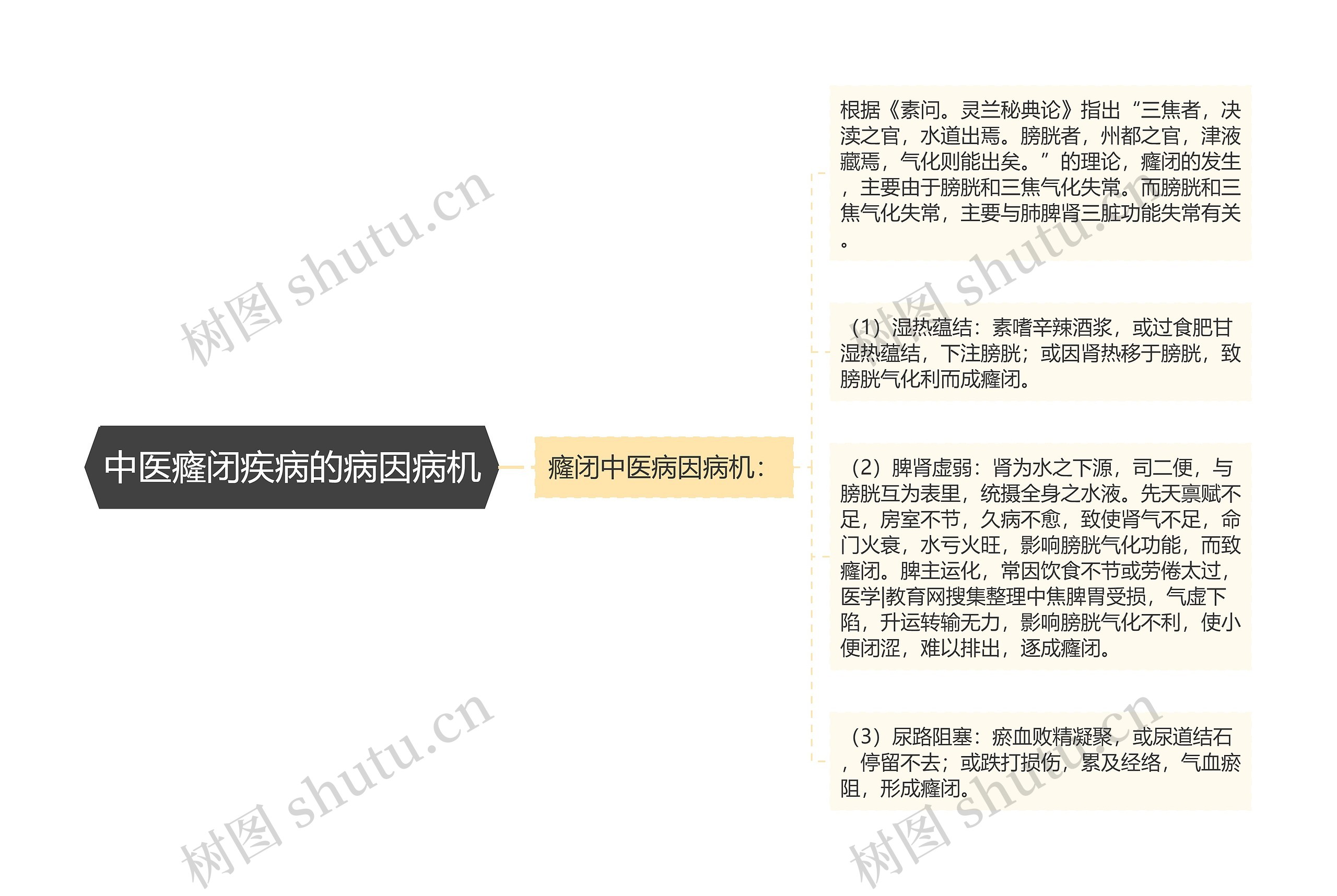 中医癃闭疾病的病因病机思维导图