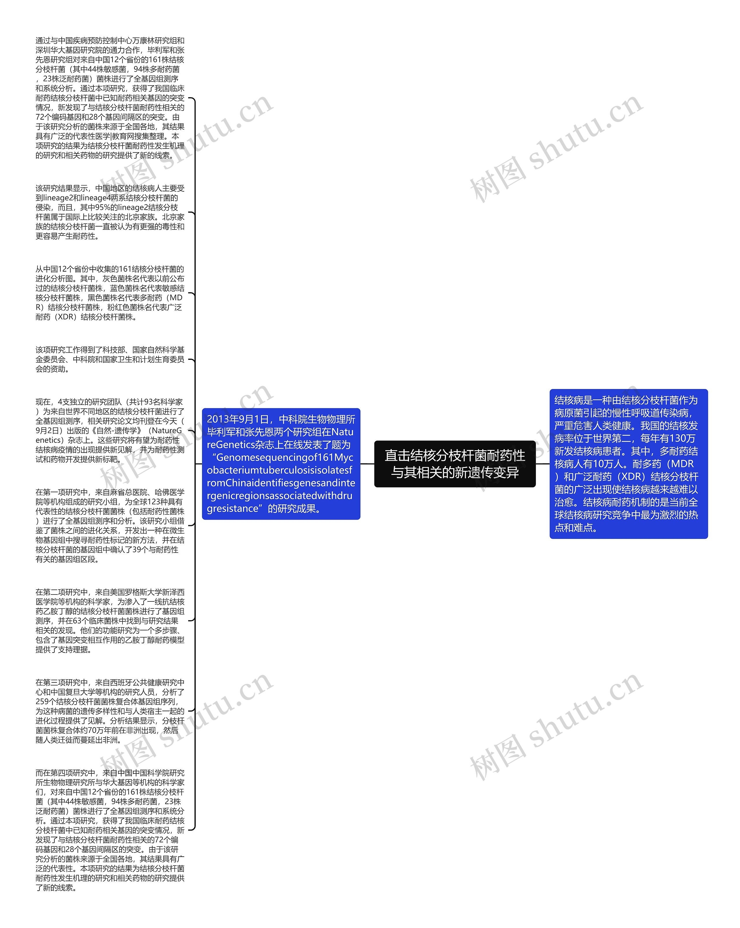 直击结核分枝杆菌耐药性与其相关的新遗传变异思维导图