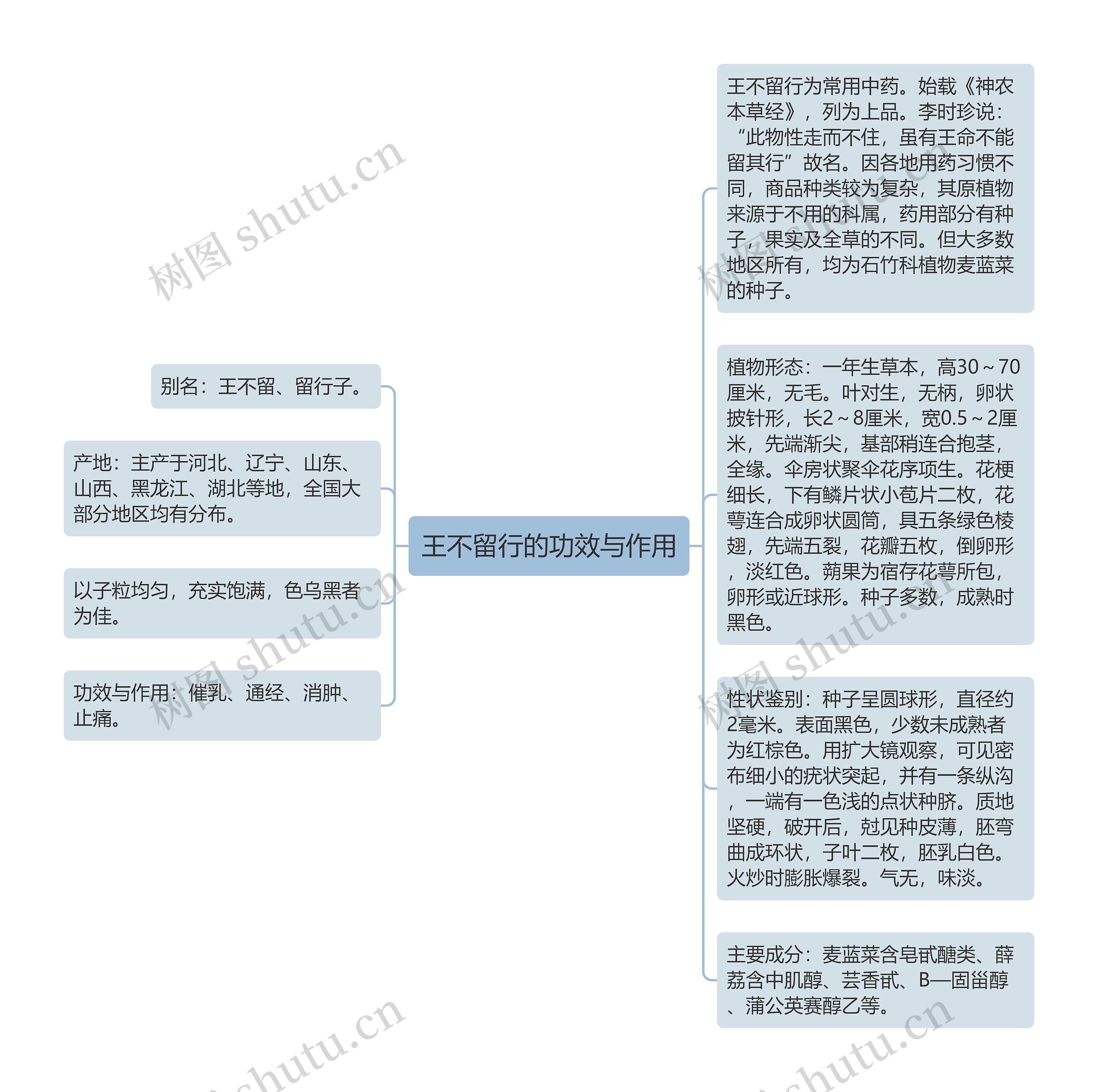 王不留行的功效与作用思维导图