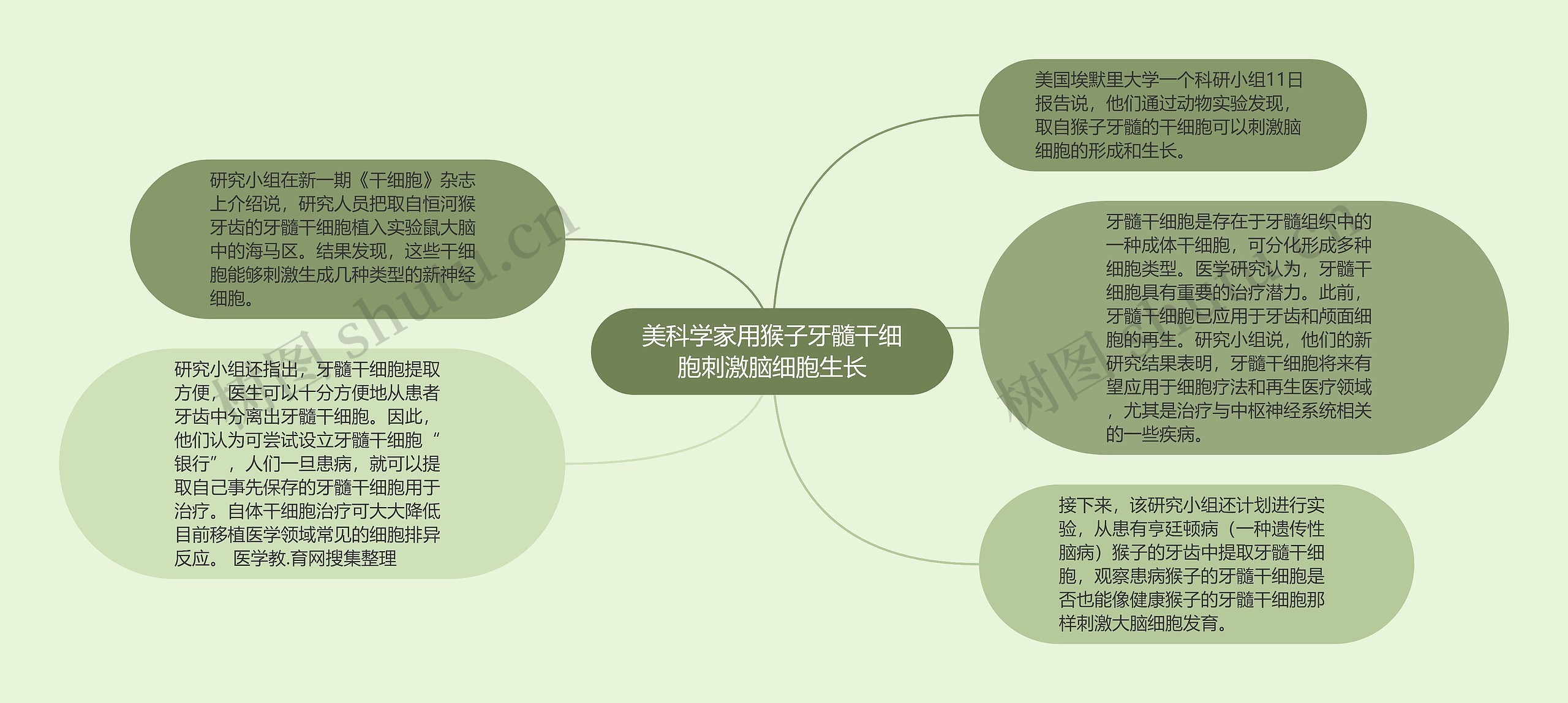 美科学家用猴子牙髓干细胞刺激脑细胞生长