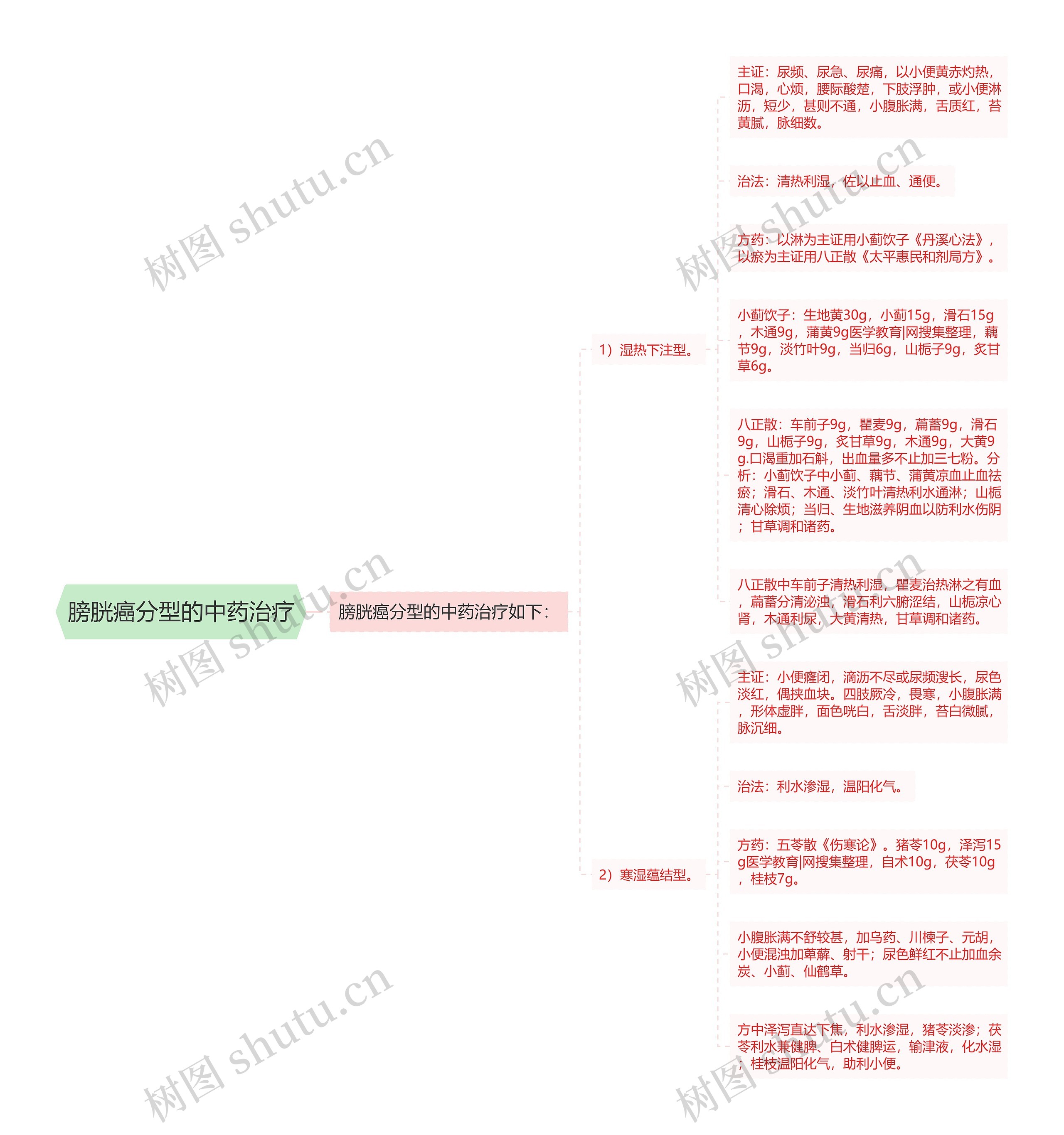膀胱癌分型的中药治疗思维导图