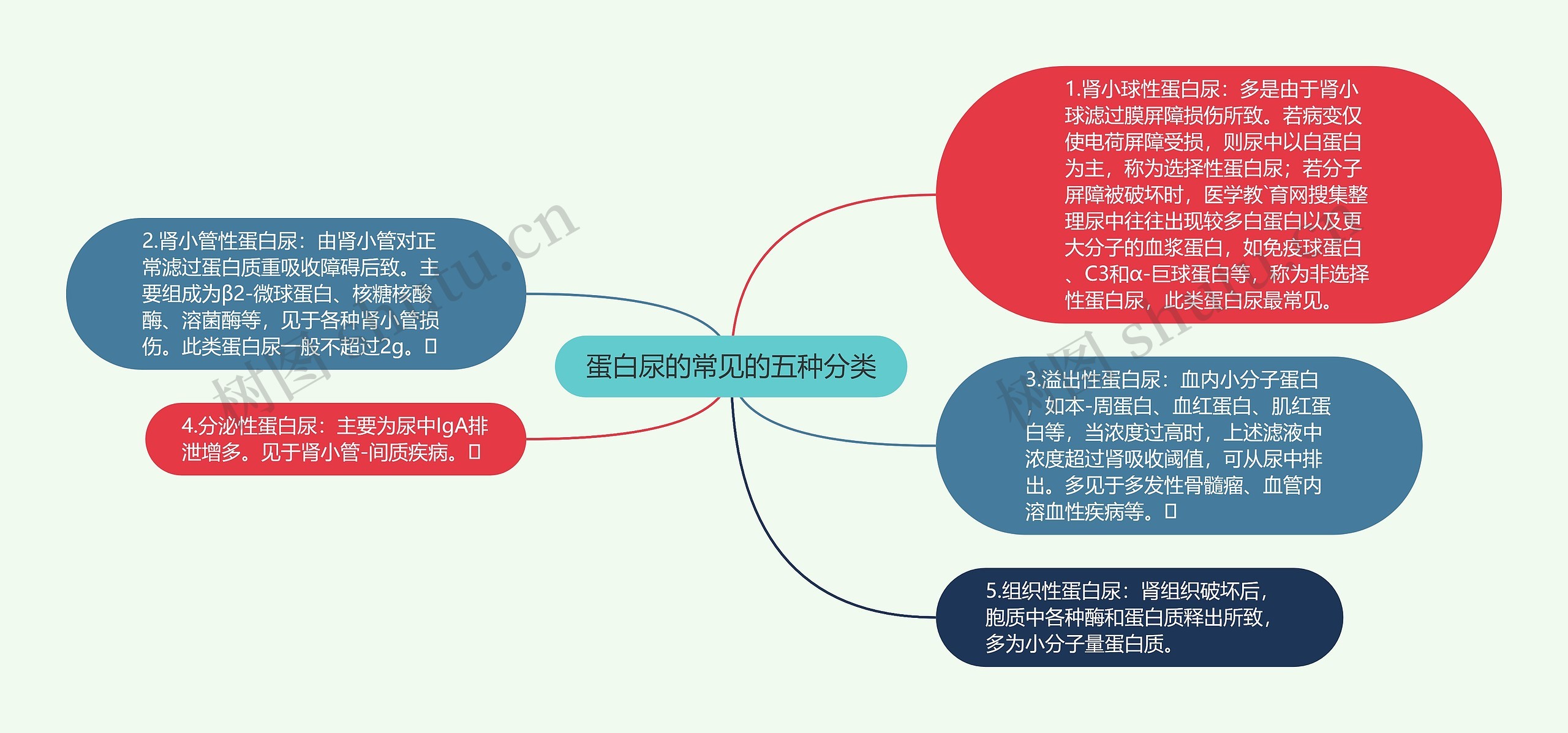 蛋白尿的常见的五种分类思维导图