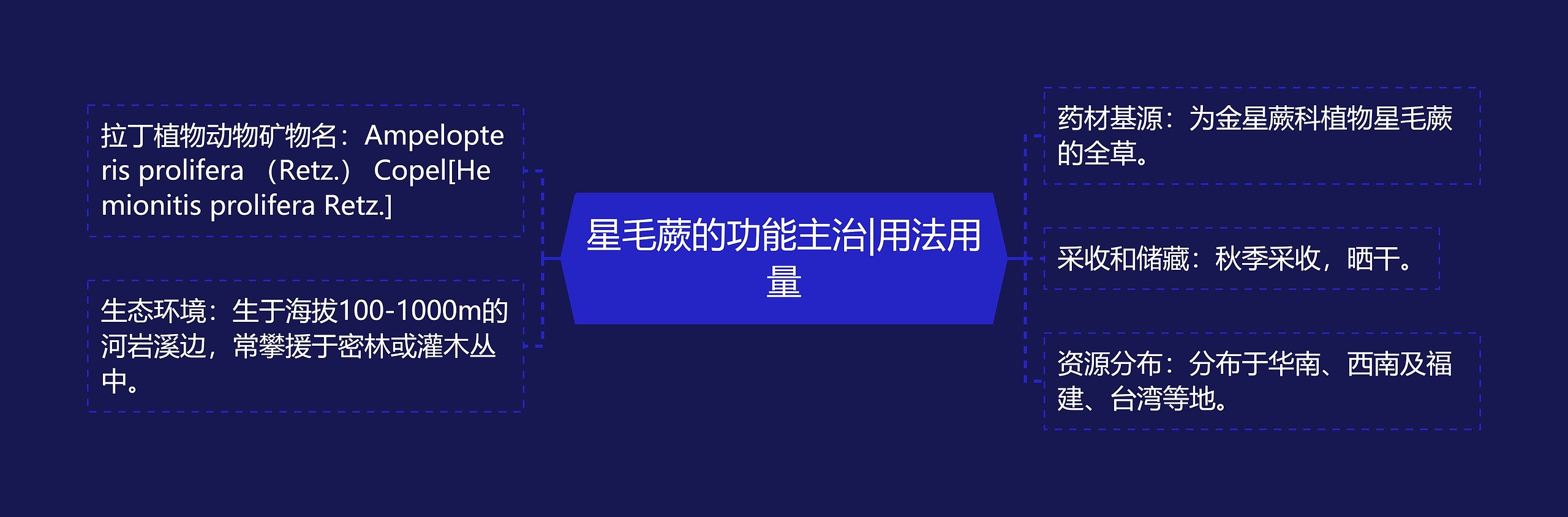 星毛蕨的功能主治|用法用量思维导图