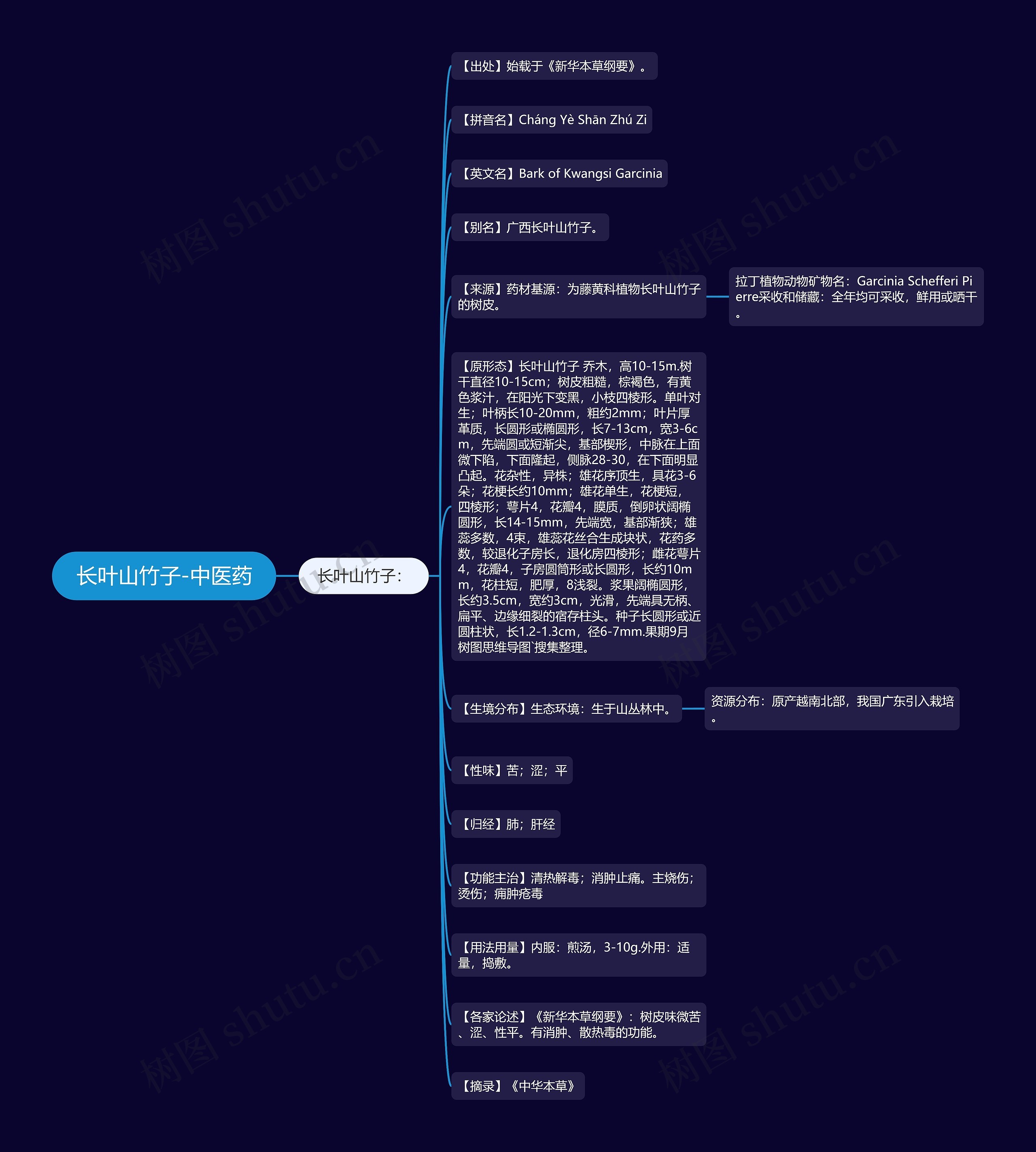 长叶山竹子-中医药思维导图