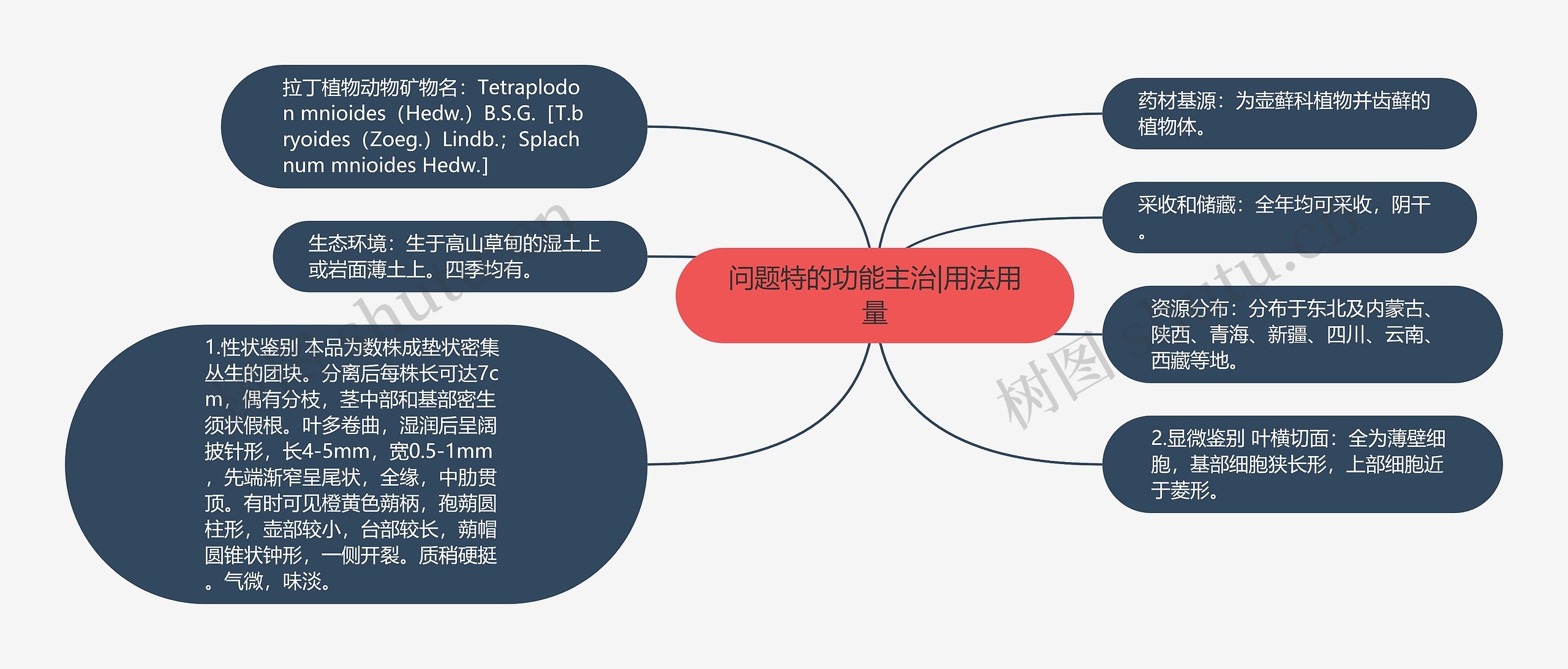 问题特的功能主治|用法用量