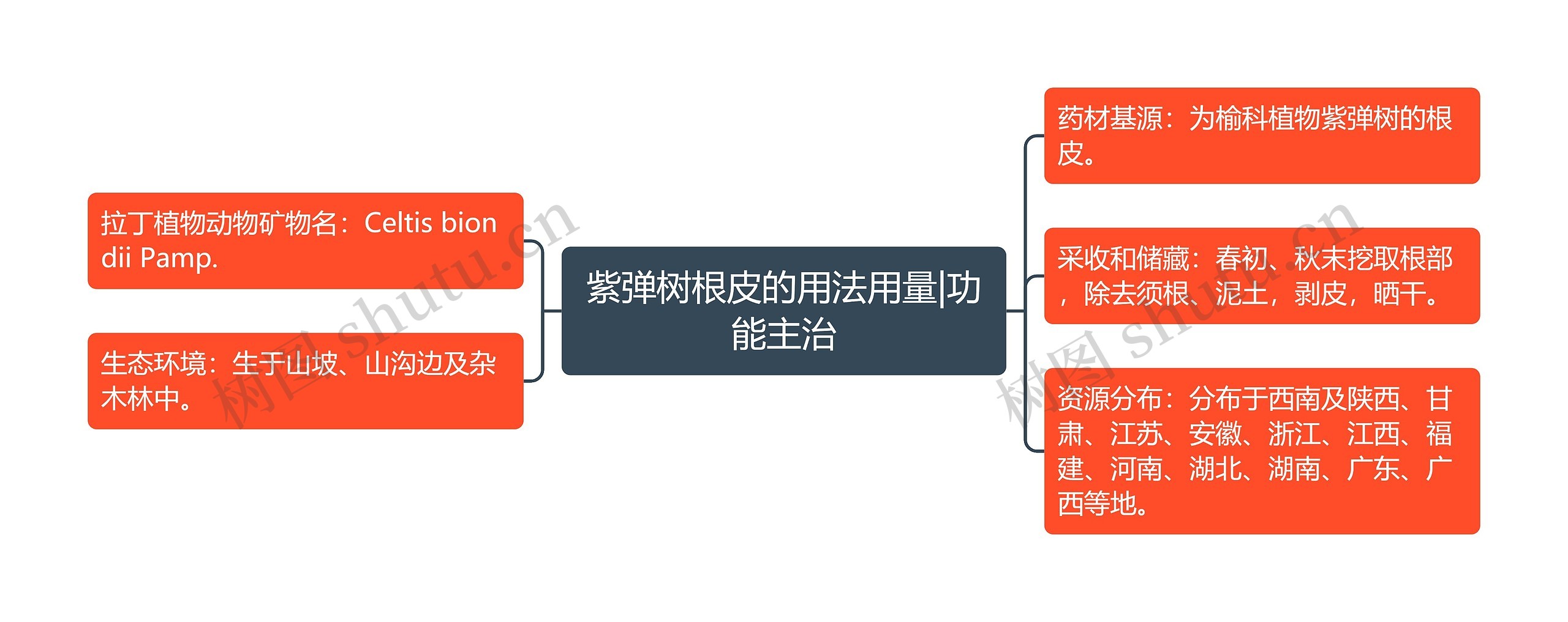 紫弹树根皮的用法用量|功能主治 紫弹树根皮的用法用量|功能主治