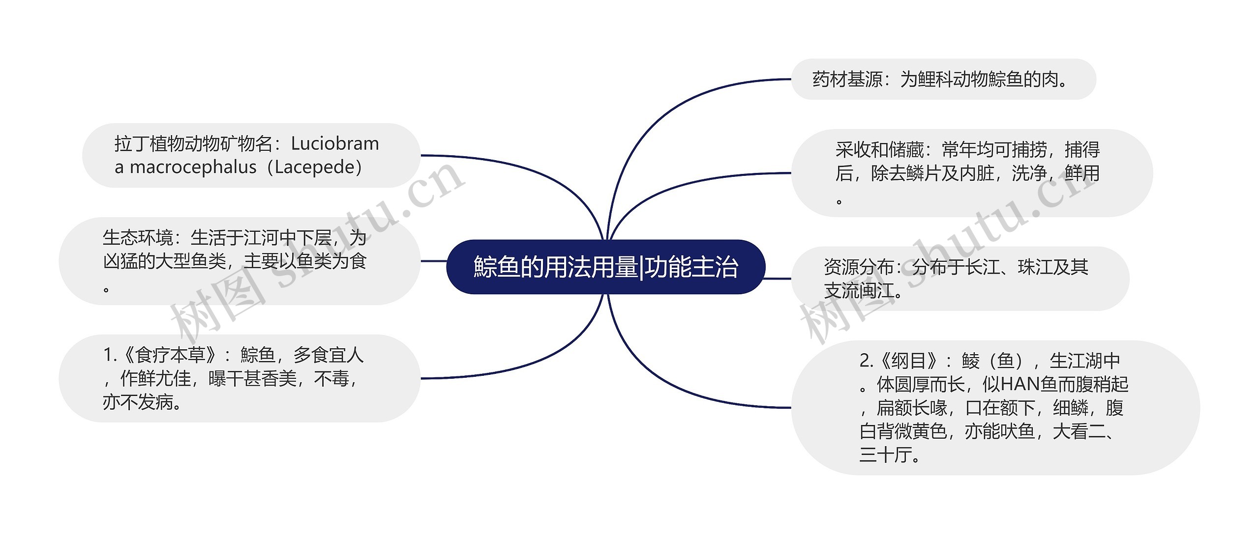 鯮鱼的用法用量|功能主治