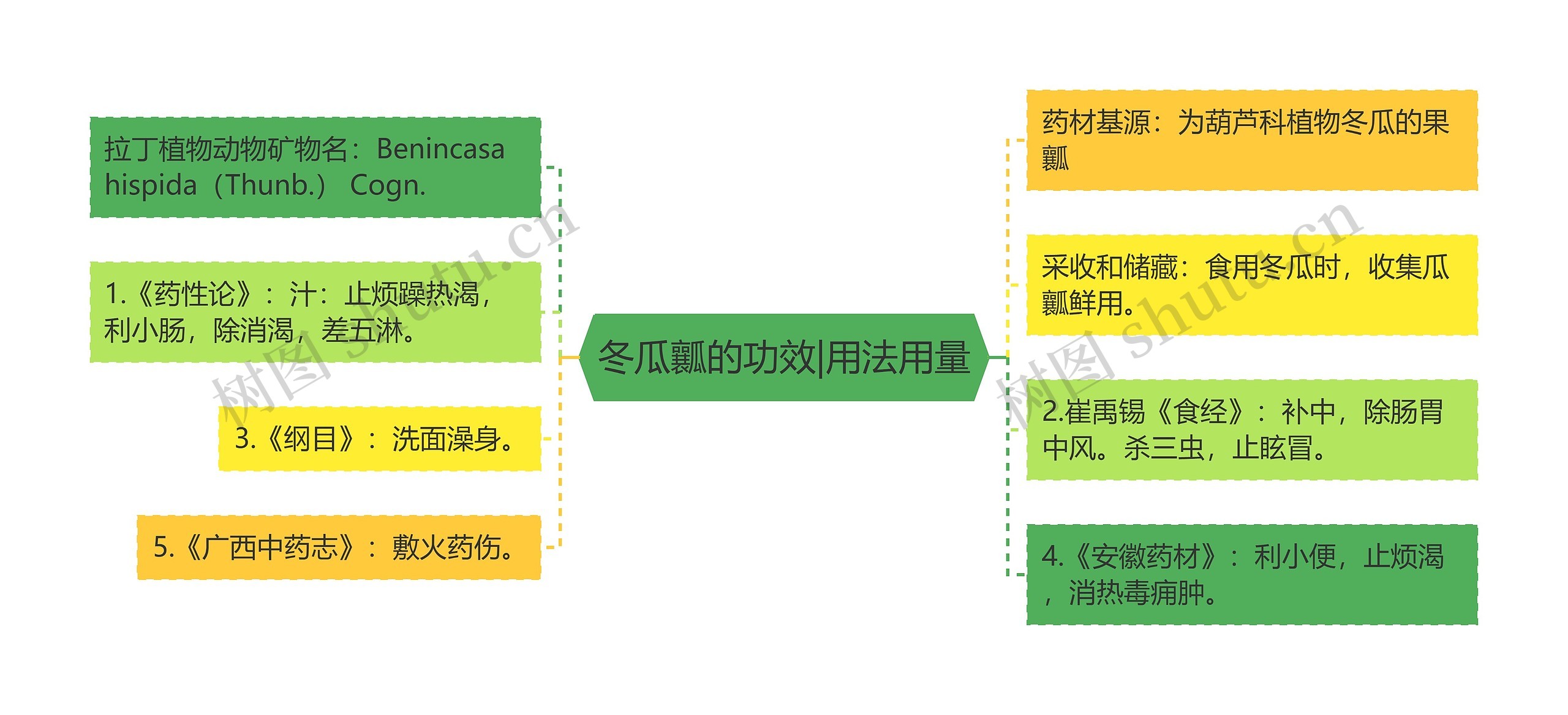 冬瓜瓤的功效|用法用量思维导图