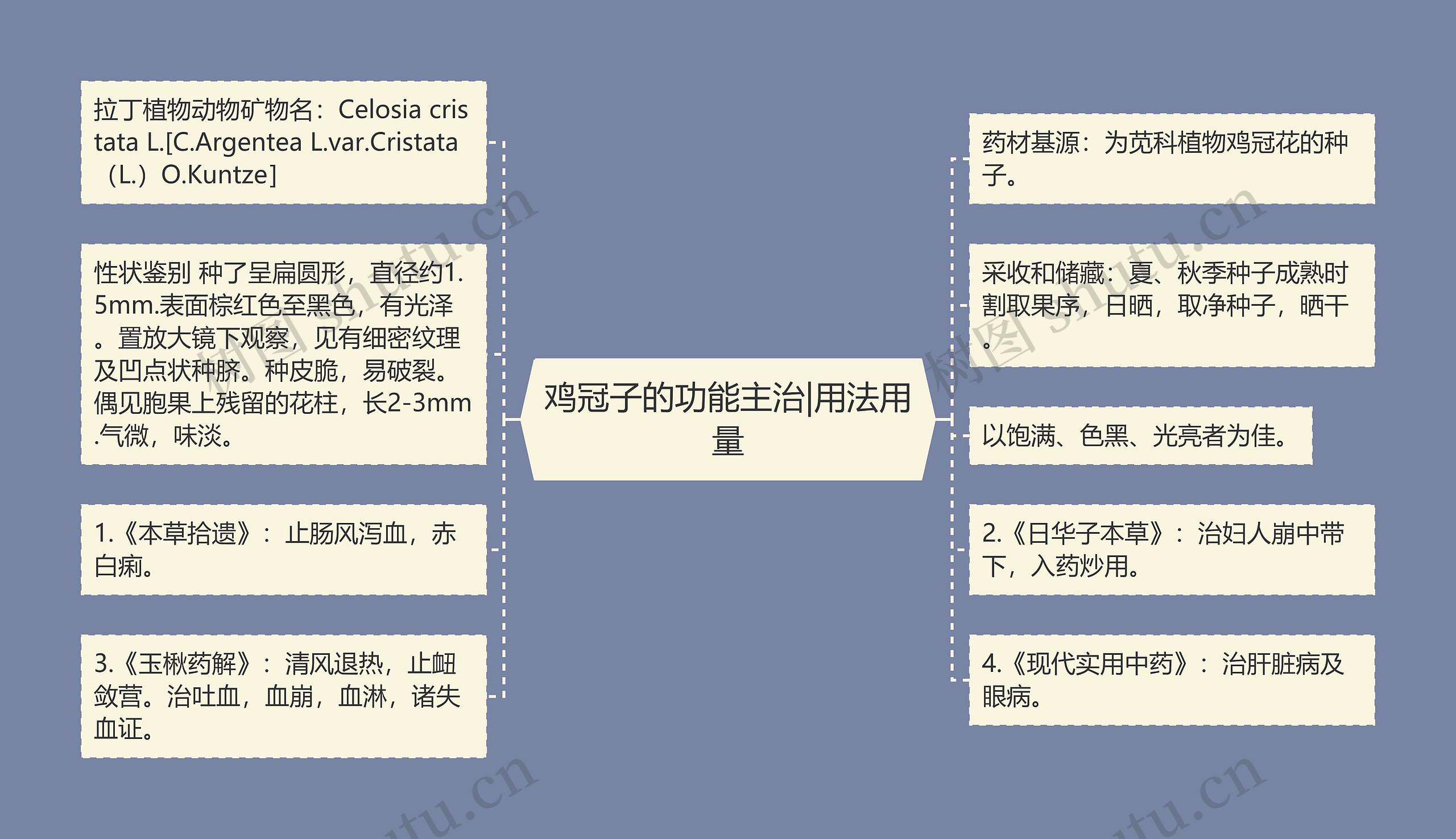 鸡冠子的功能主治|用法用量思维导图