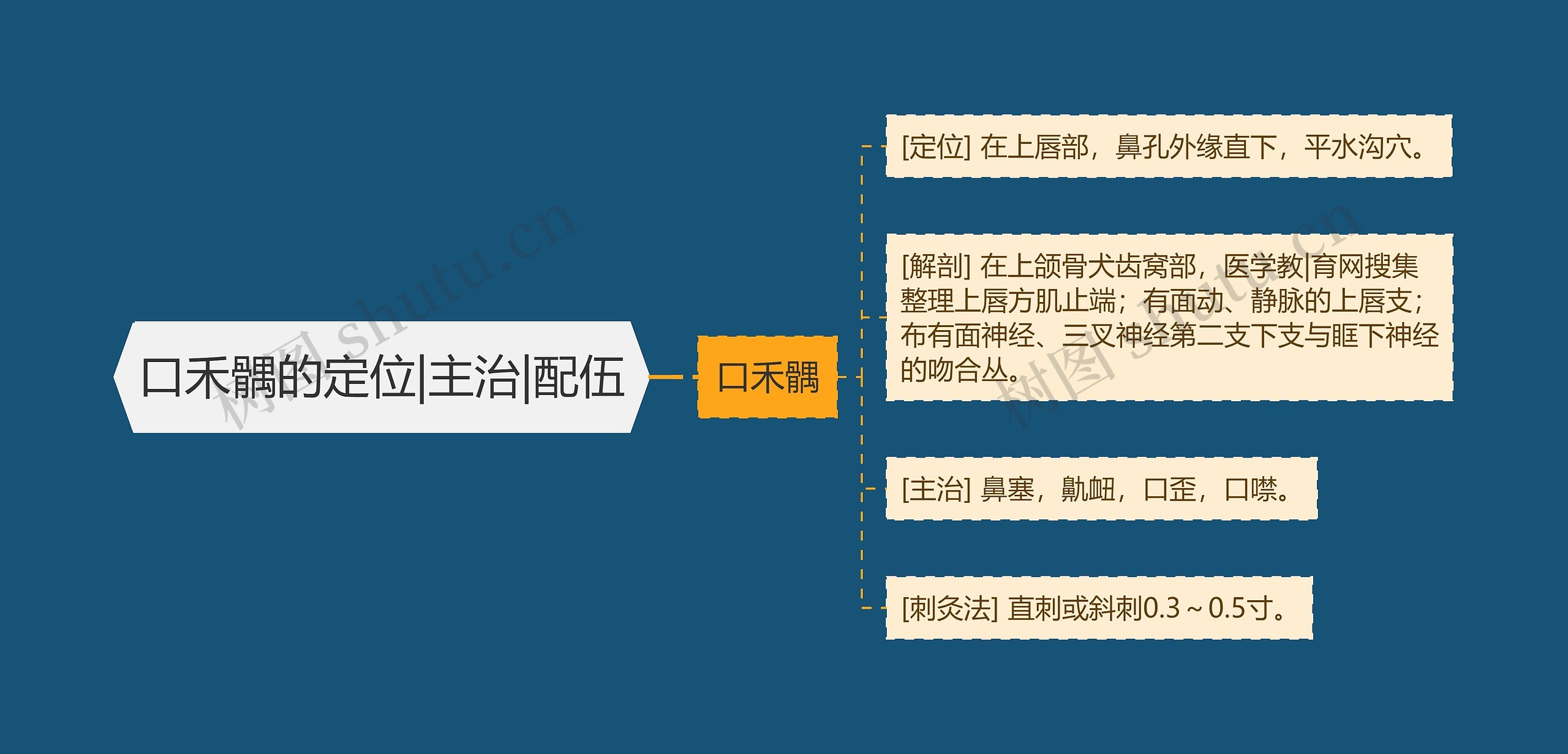 口禾髃的定位|主治|配伍 口禾髃的定位|主治|配伍