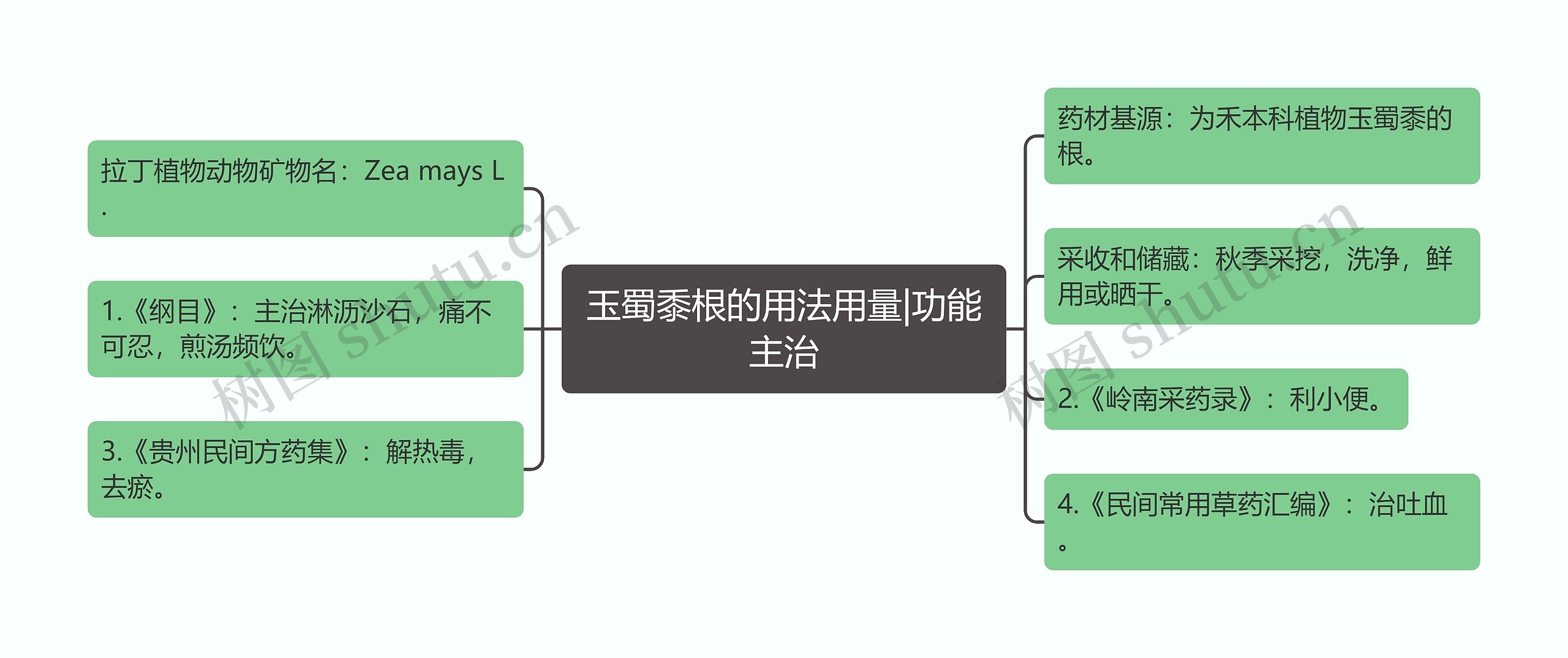 玉蜀黍根的用法用量|功能主治思维导图