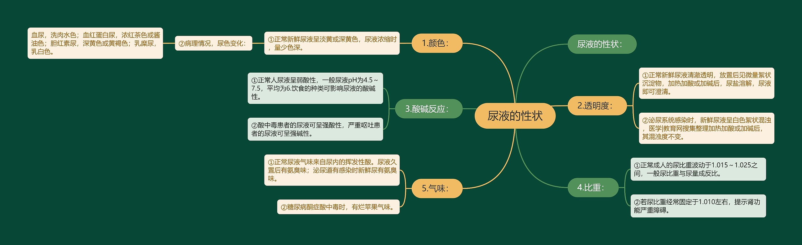 尿液的性状思维导图