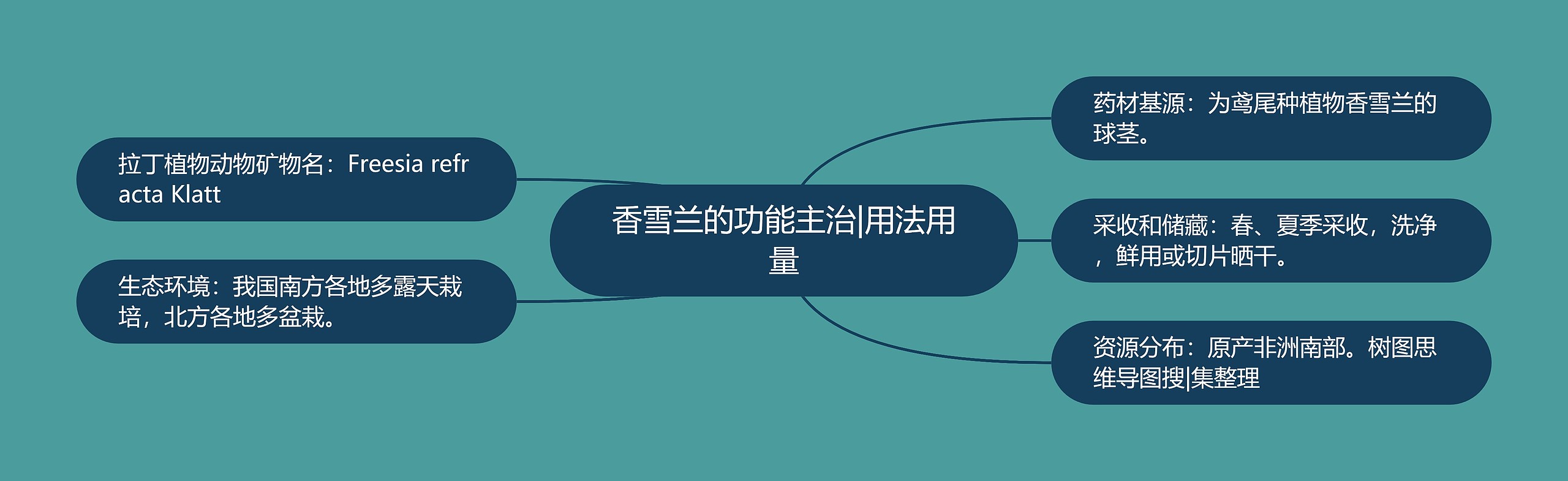 香雪兰的功能主治|用法用量 香雪兰的功能主治|用法用量