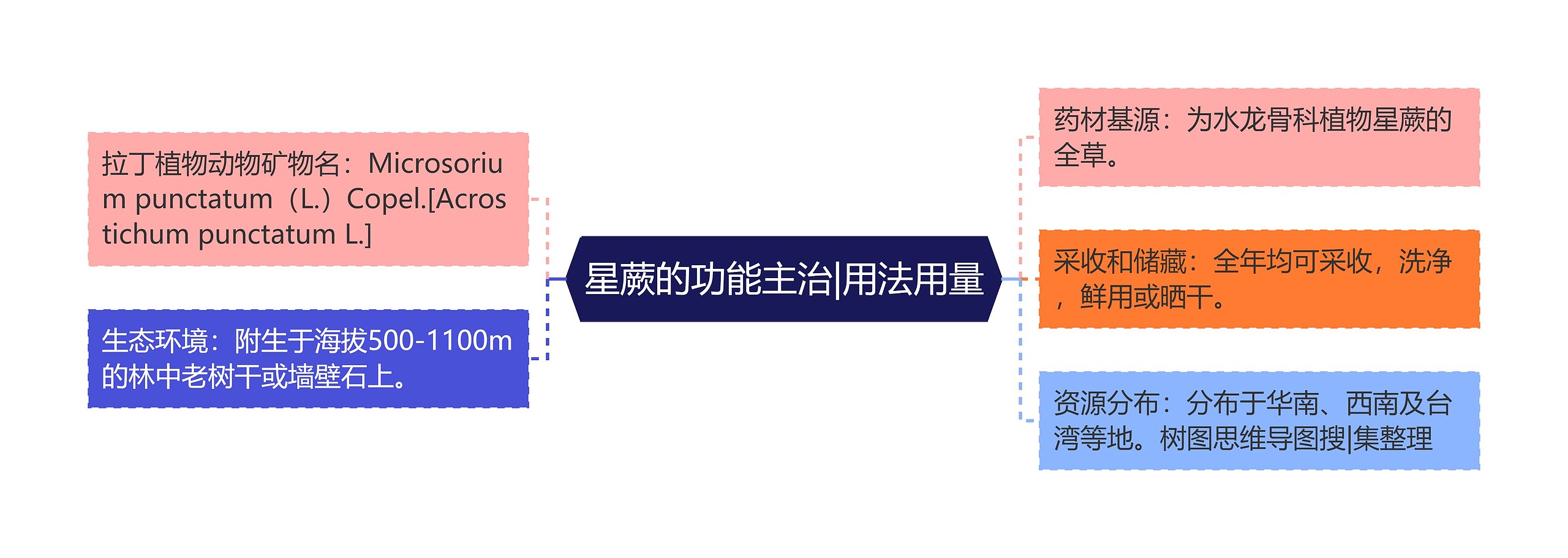 星蕨的功能主治|用法用量思维导图