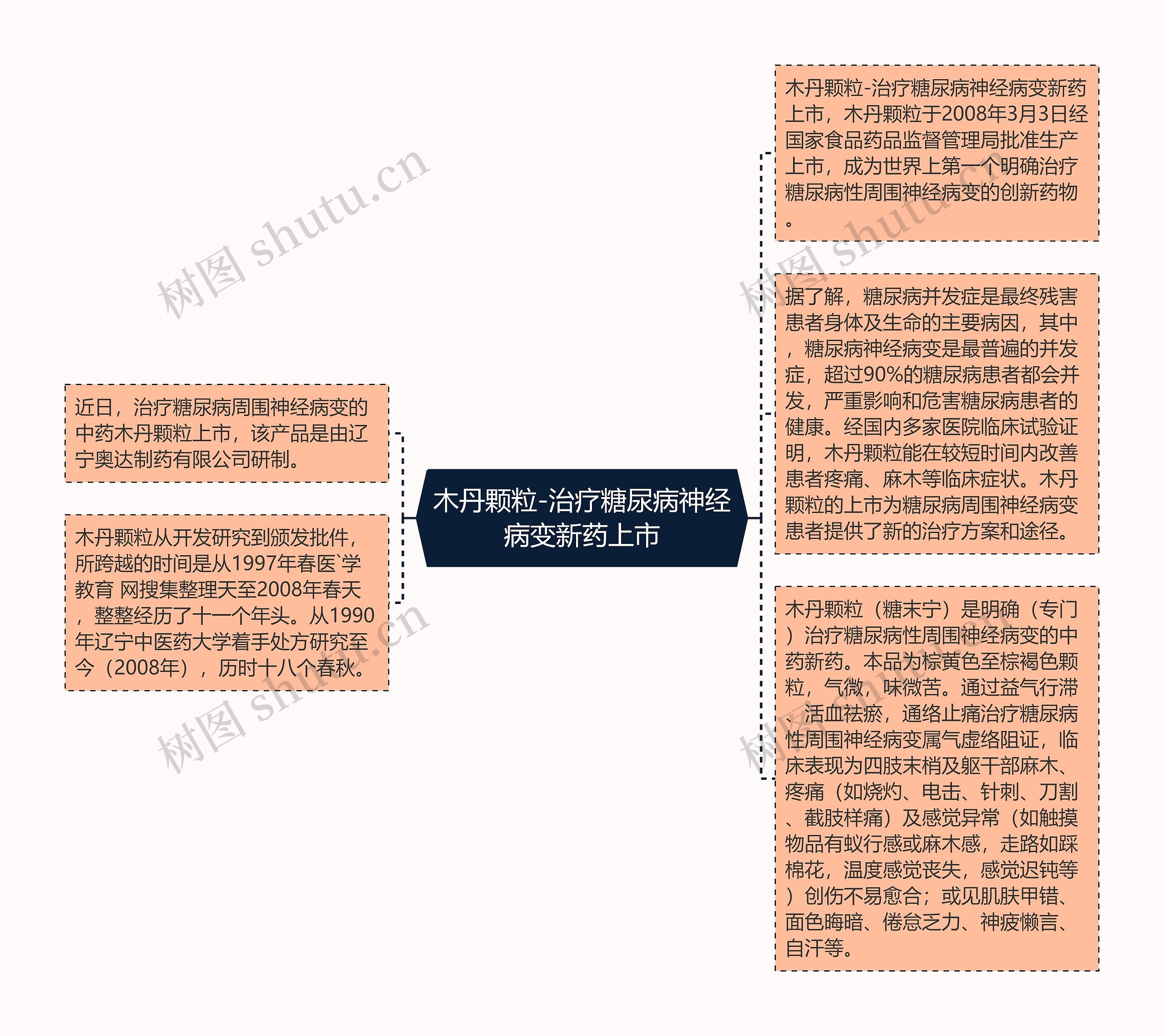 木丹颗粒-治疗糖尿病神经病变新药上市思维导图