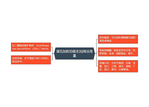 藤五加的功能主治|用法用量