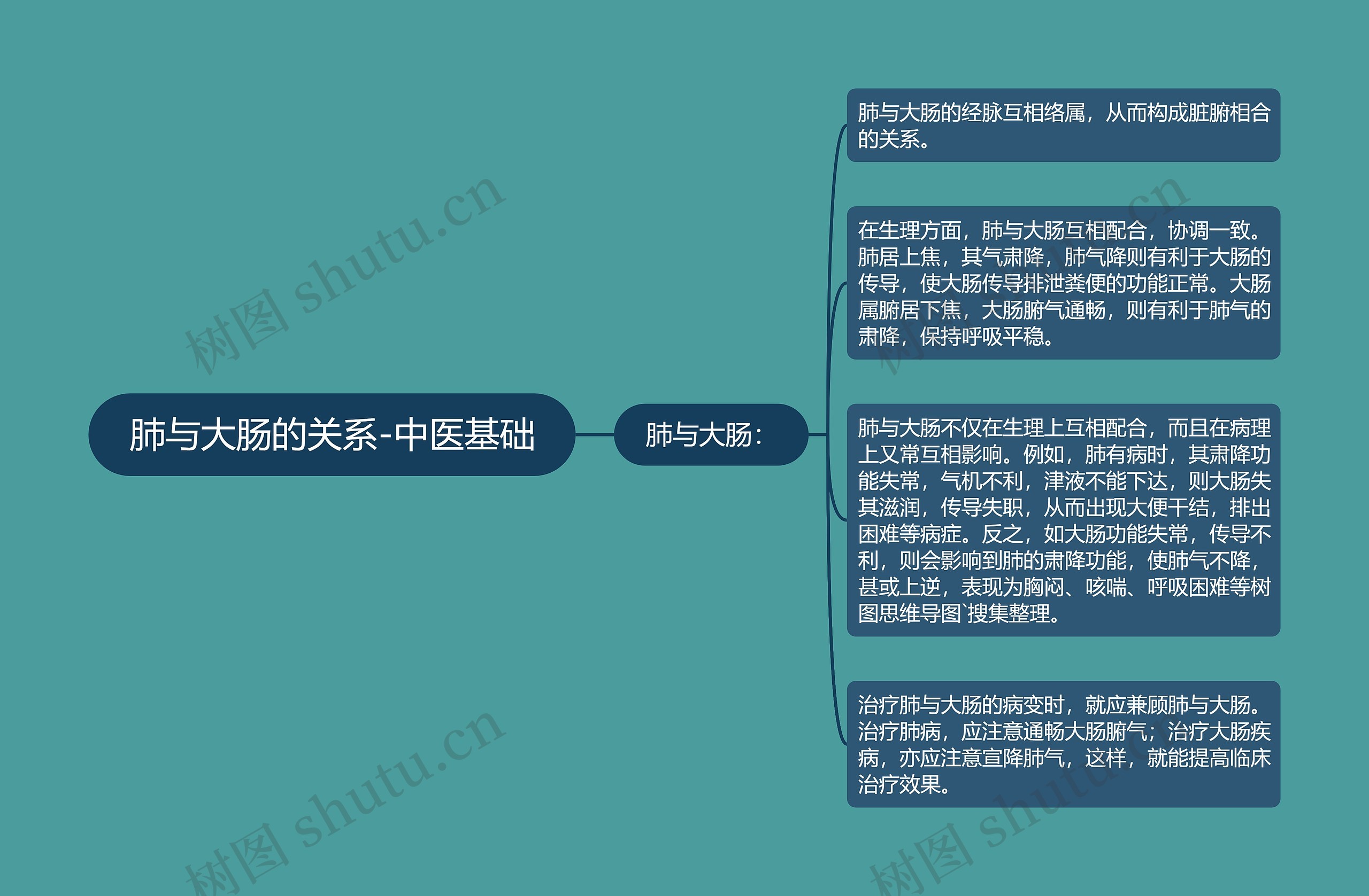肺与大肠的关系-中医基础思维导图