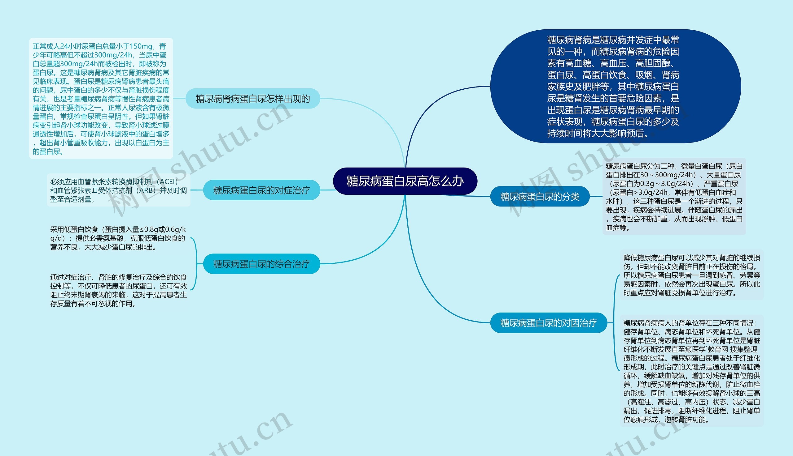 糖尿病蛋白尿高怎么办思维导图